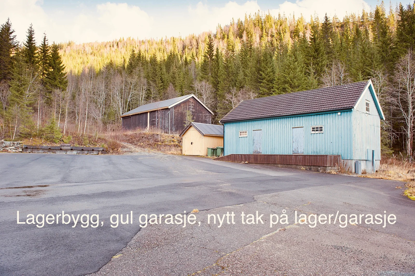 Photo 12