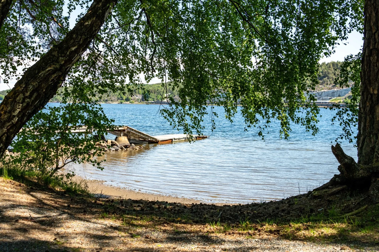 Photo 27