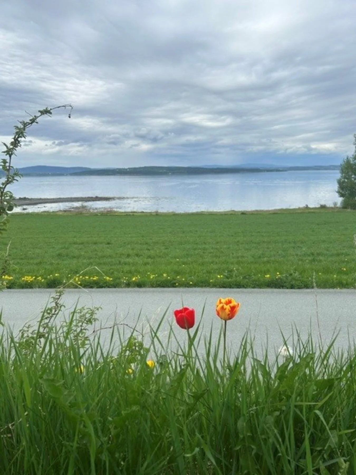 Photo 32