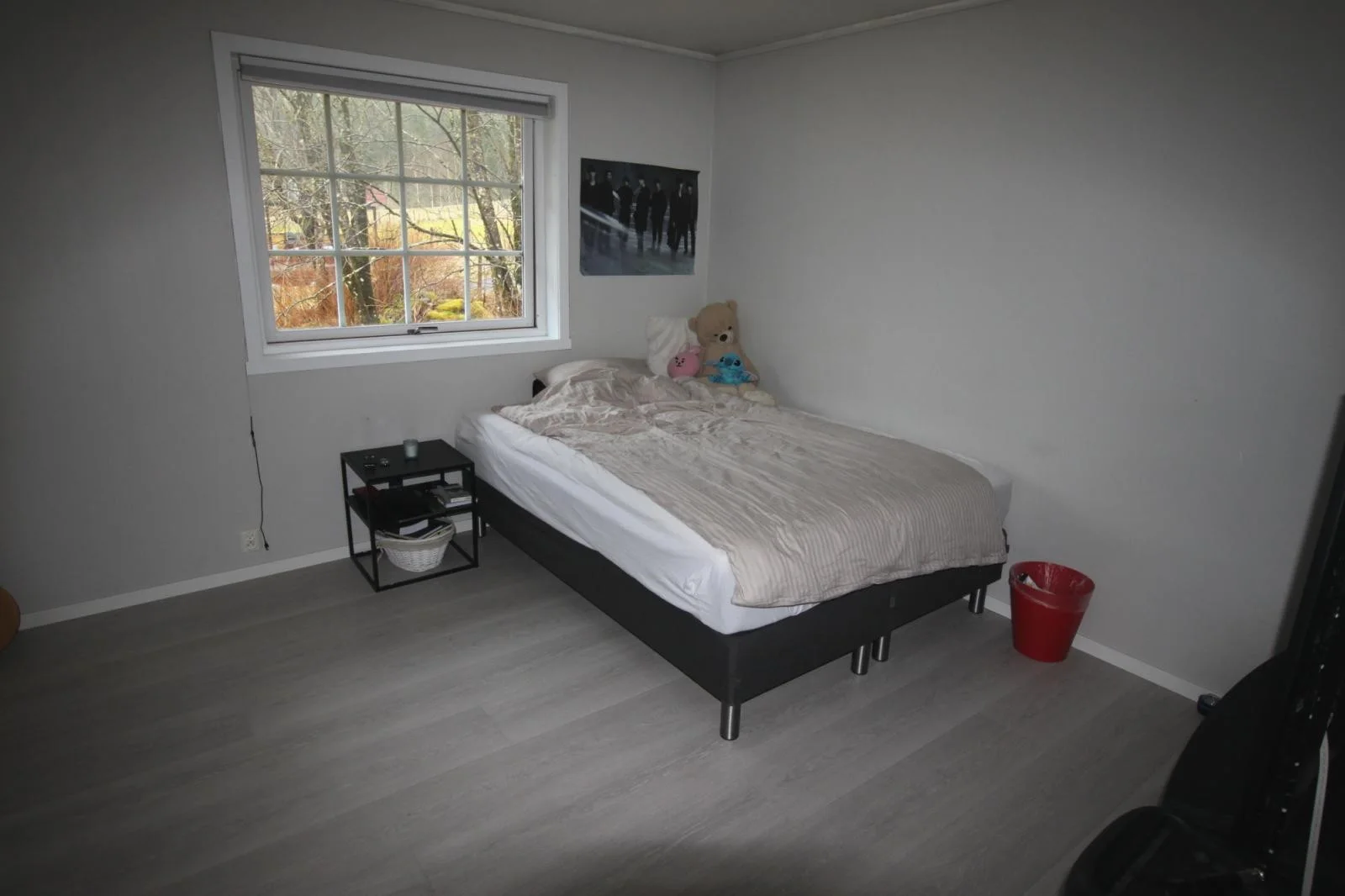 Photo 20