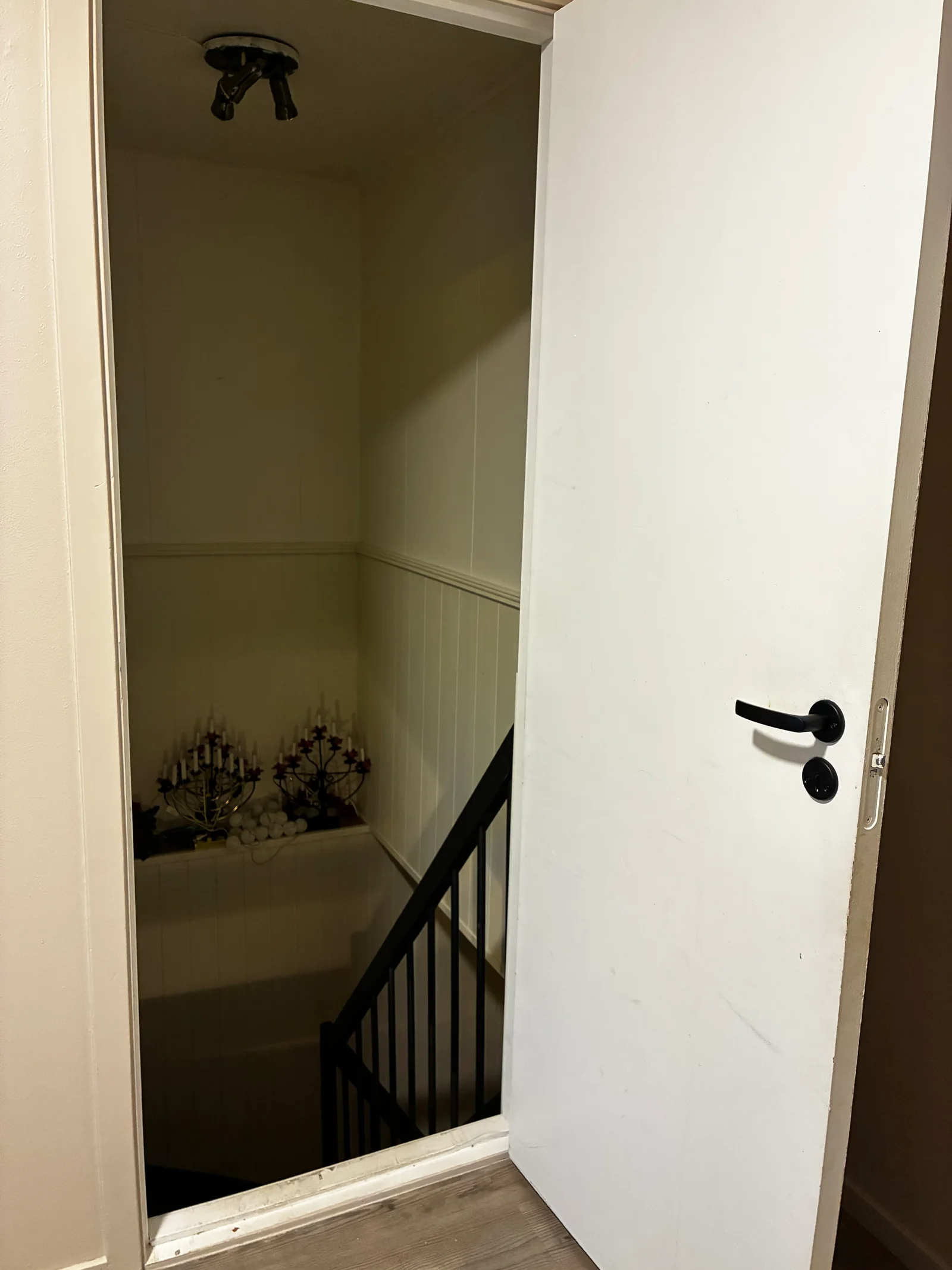 Photo 42