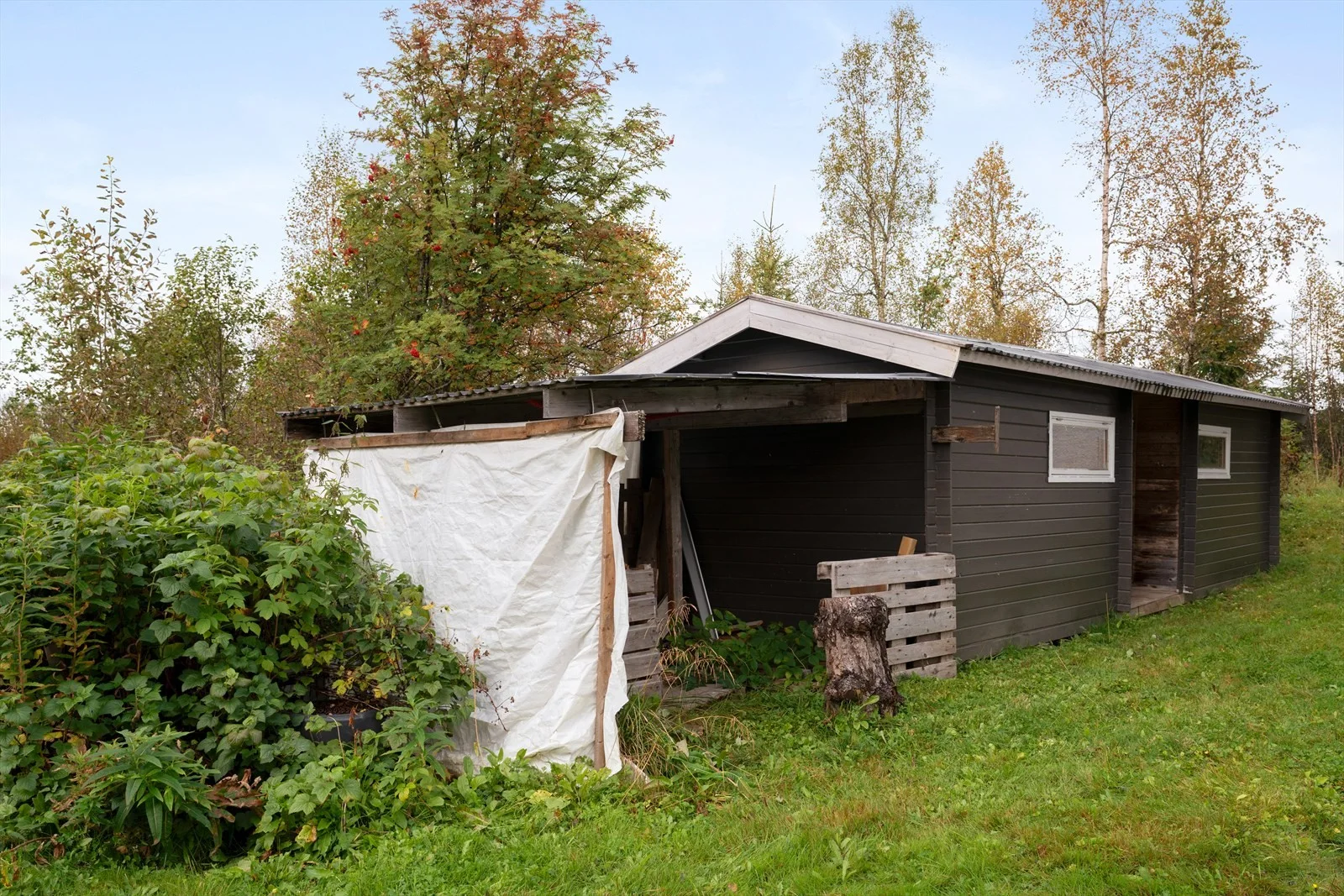 Photo 3