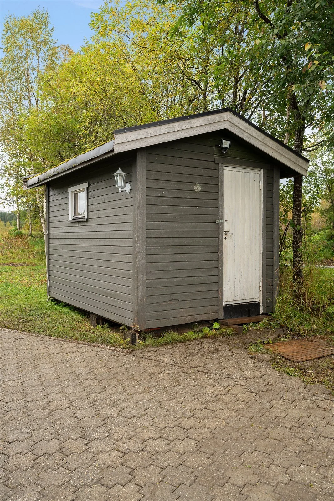 Photo 42