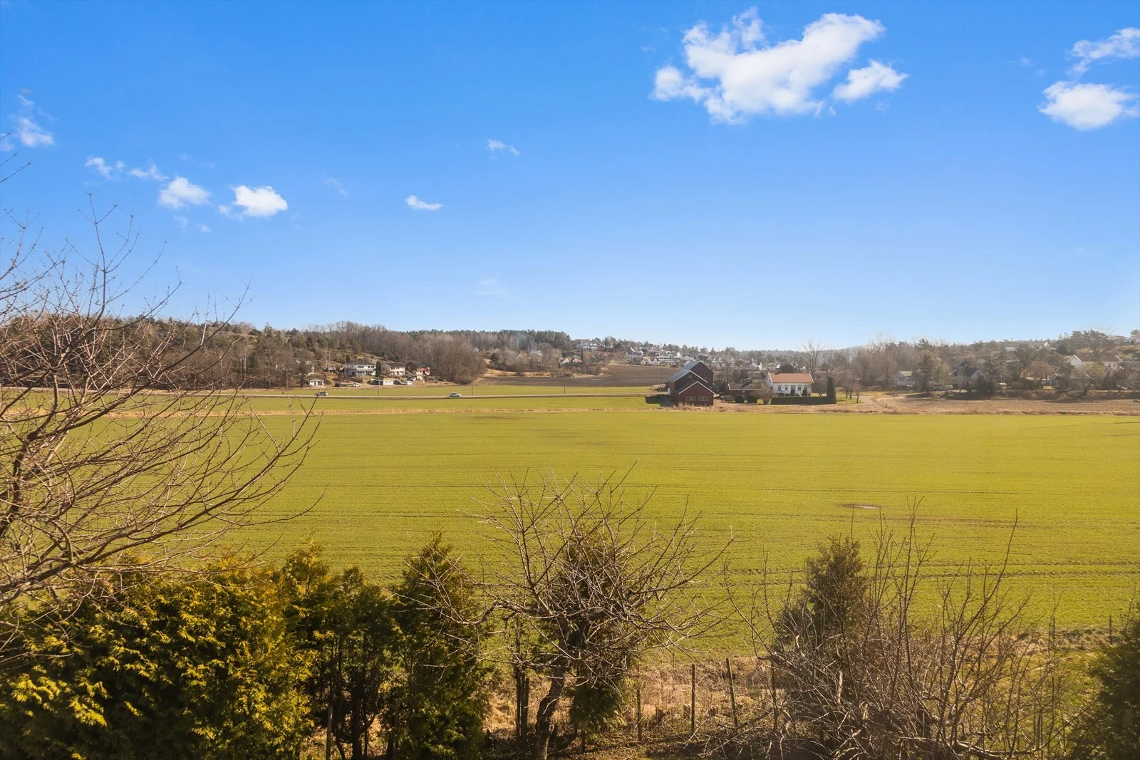 Photo 63