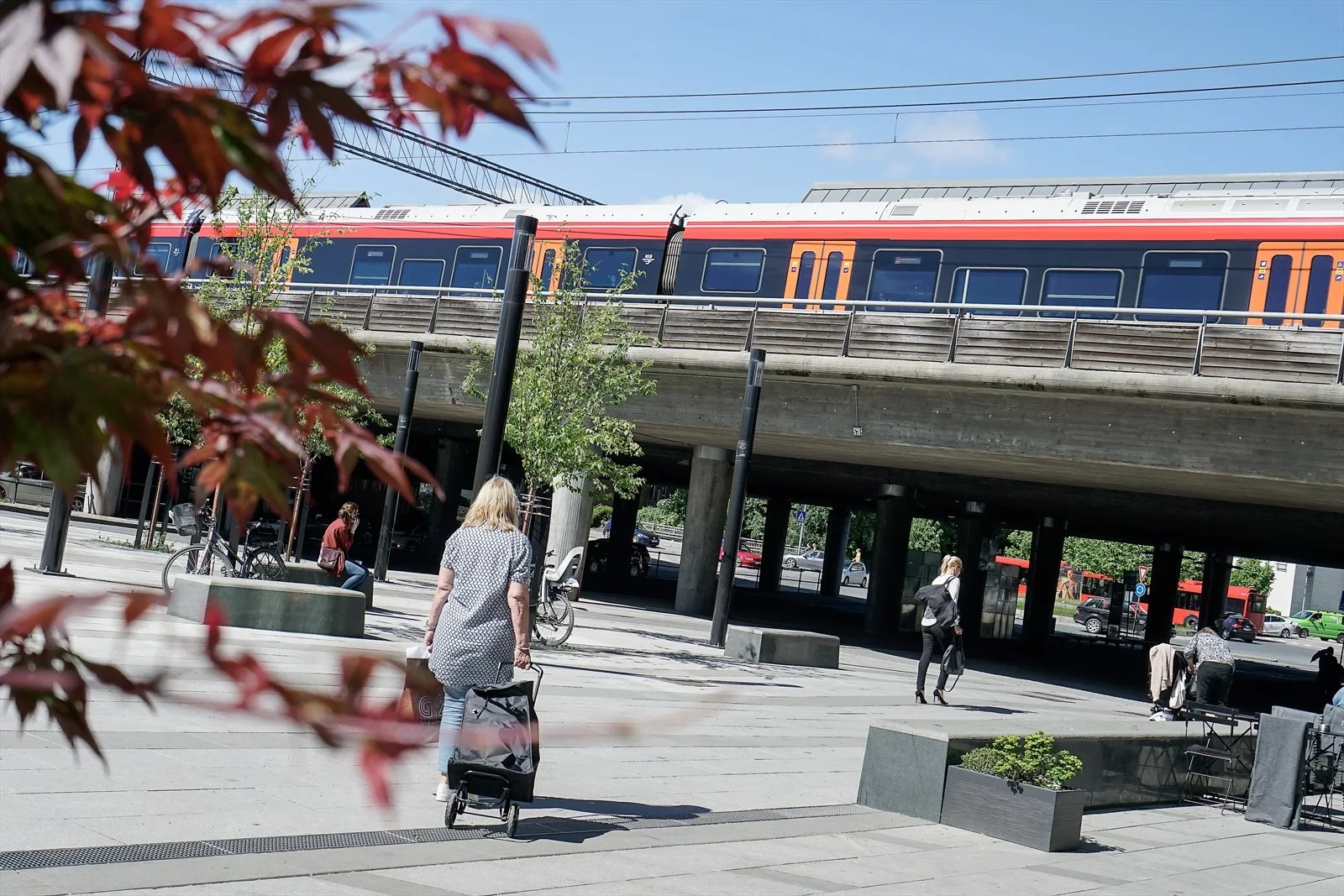 Photo 37