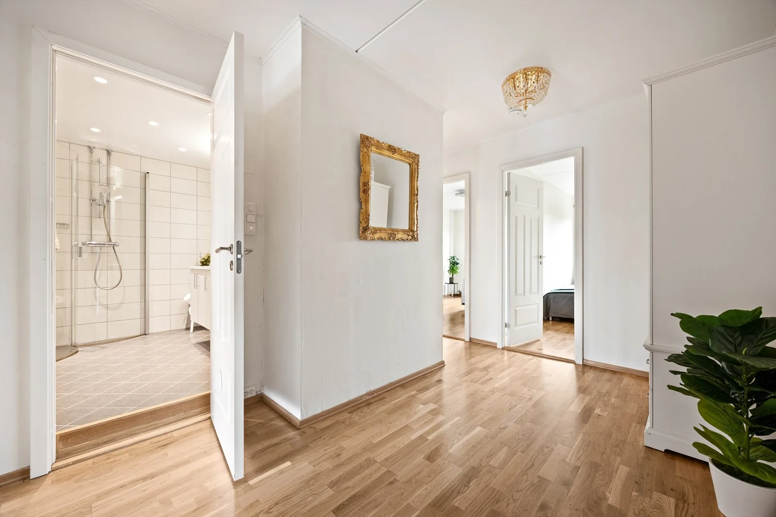 Photo 32