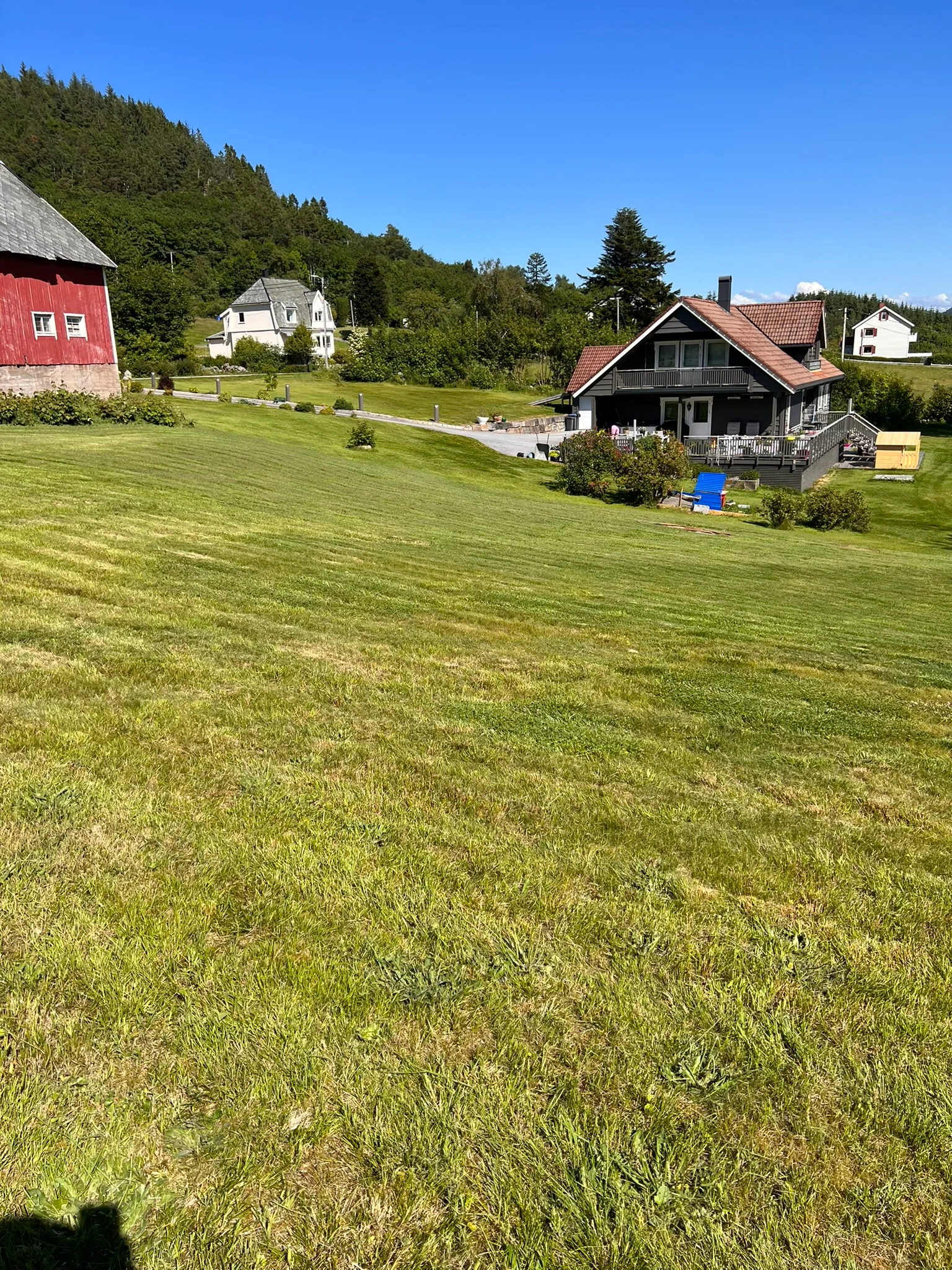 Photo 21