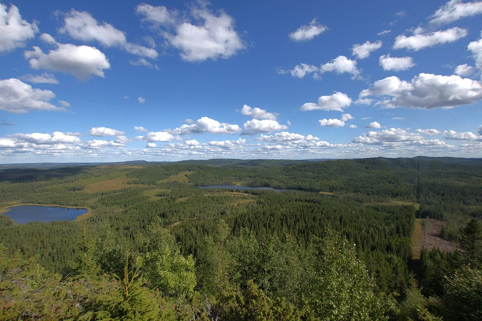 Photo 45