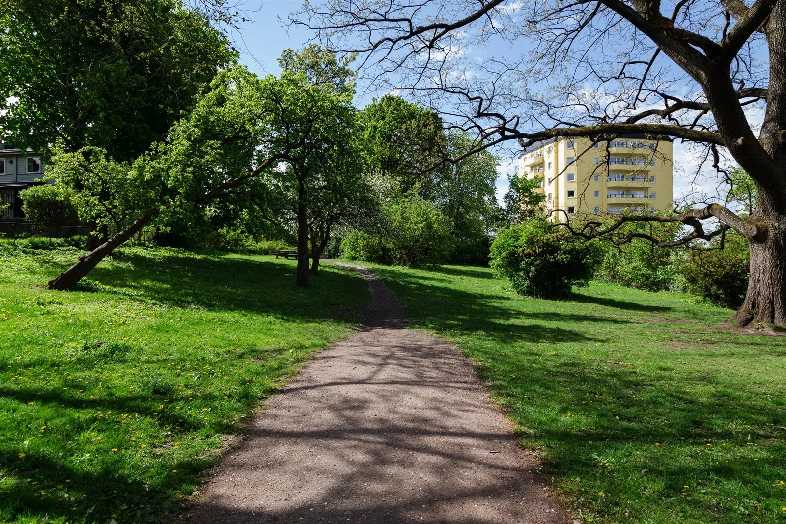 Photo 29