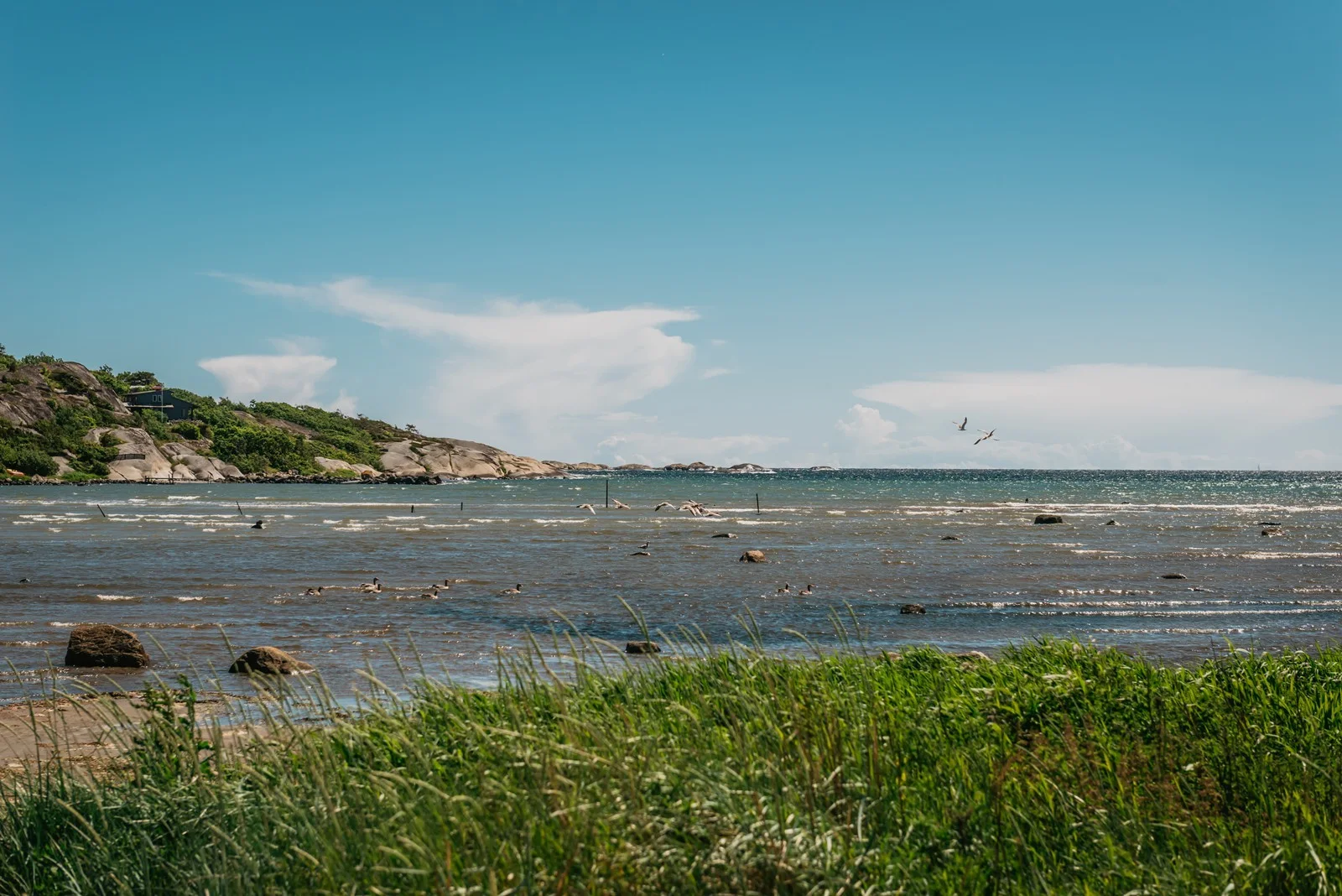 Photo 42