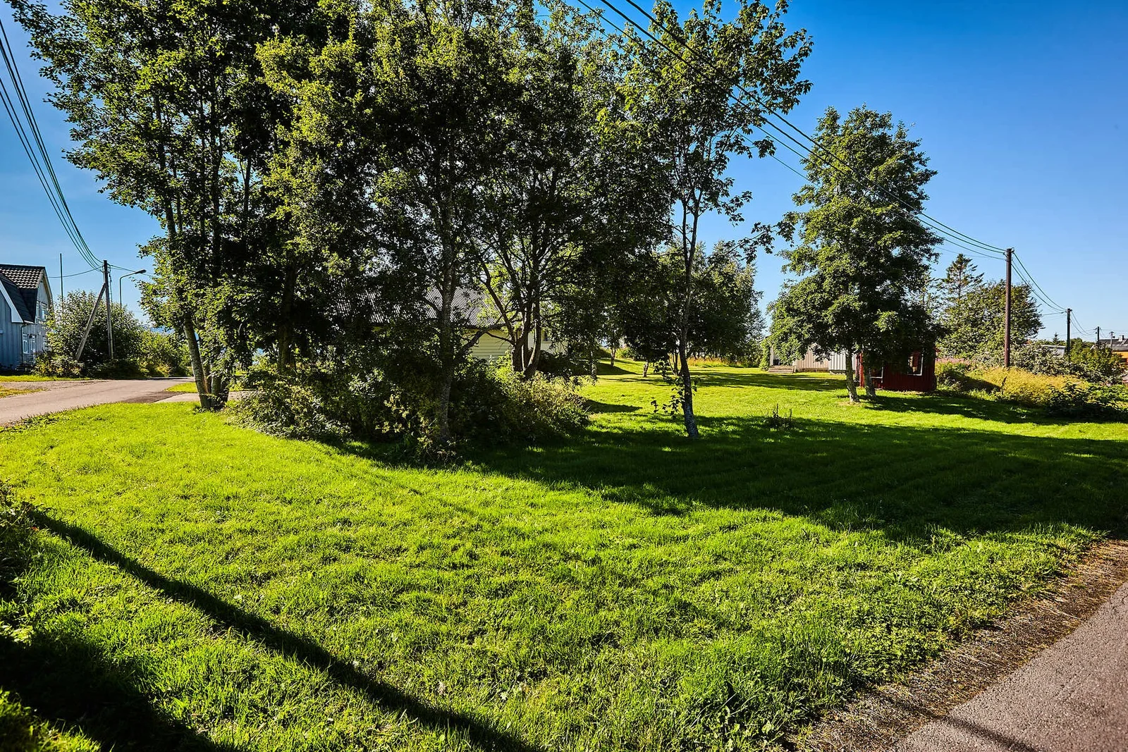 Photo 43