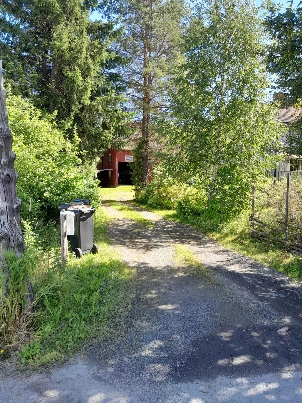 Photo 3