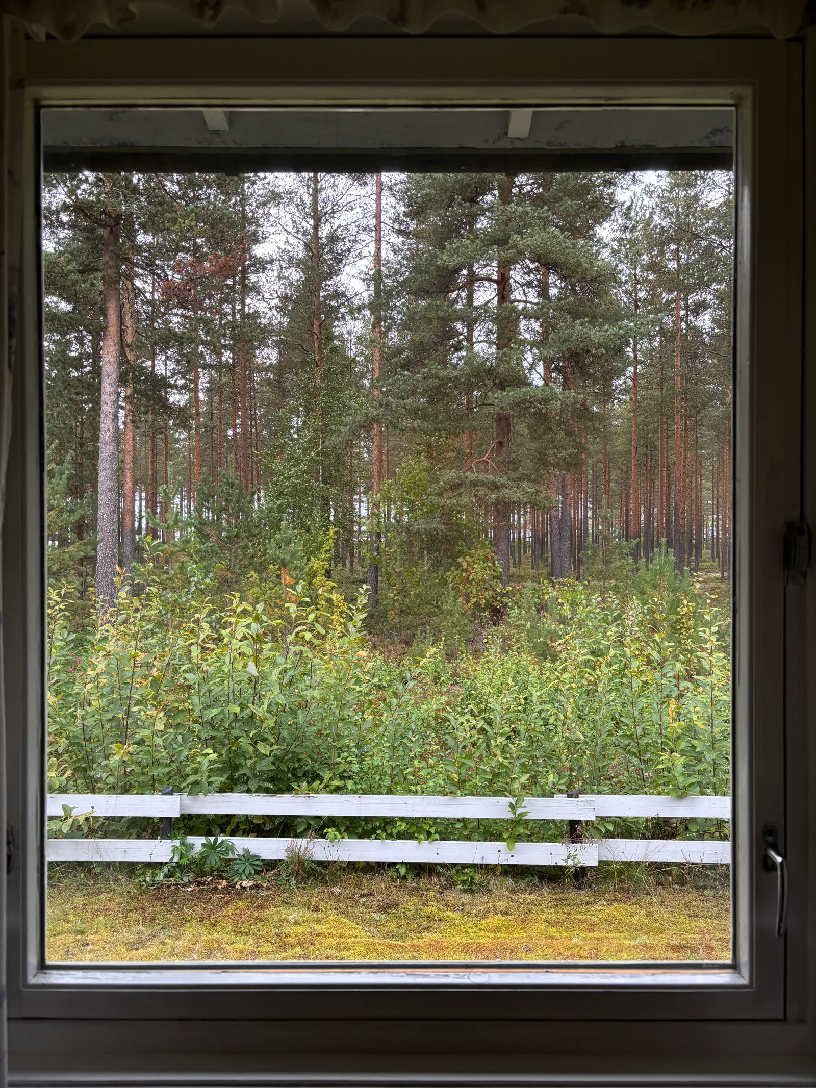 Photo 24