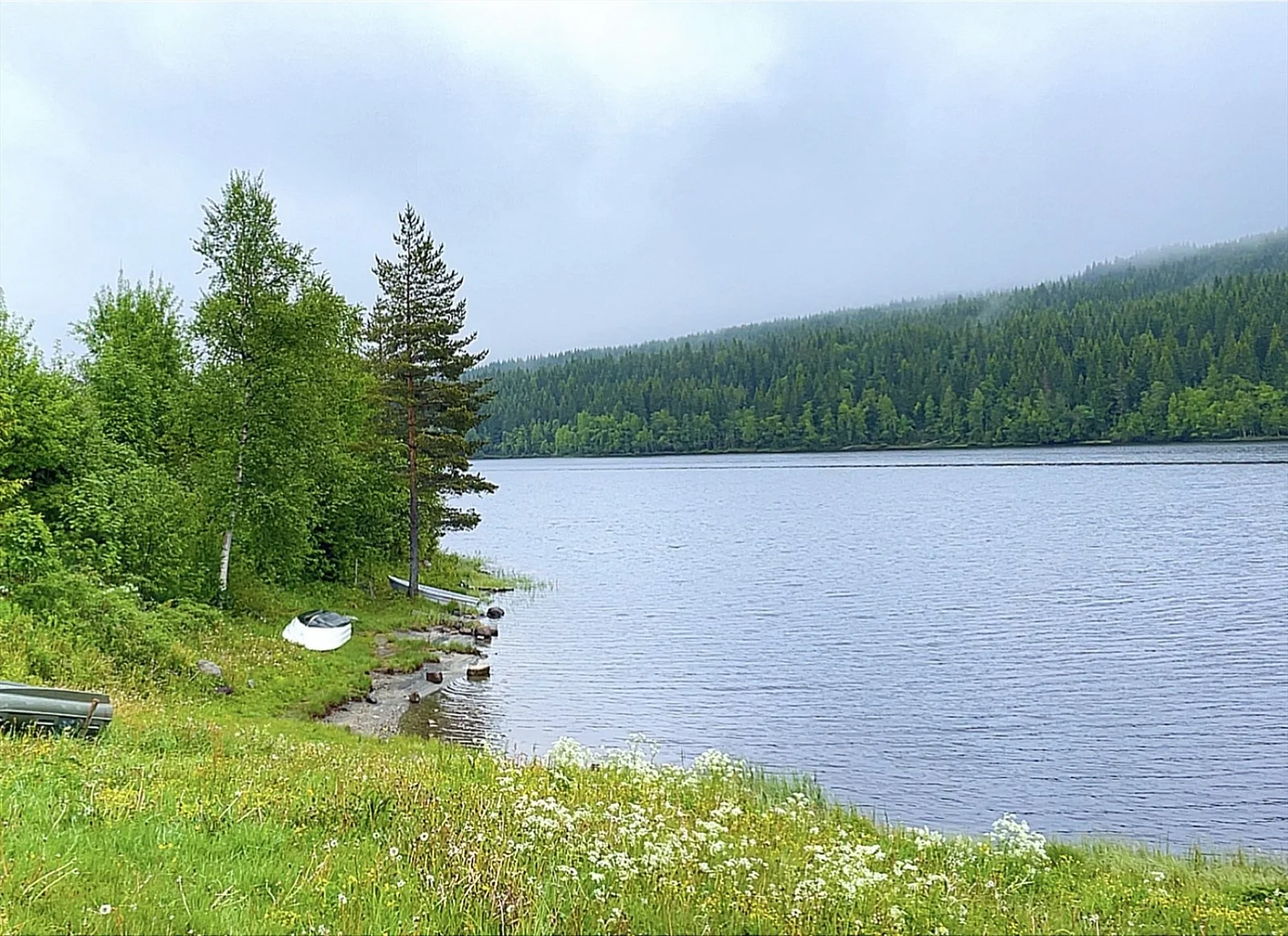 Photo 51
