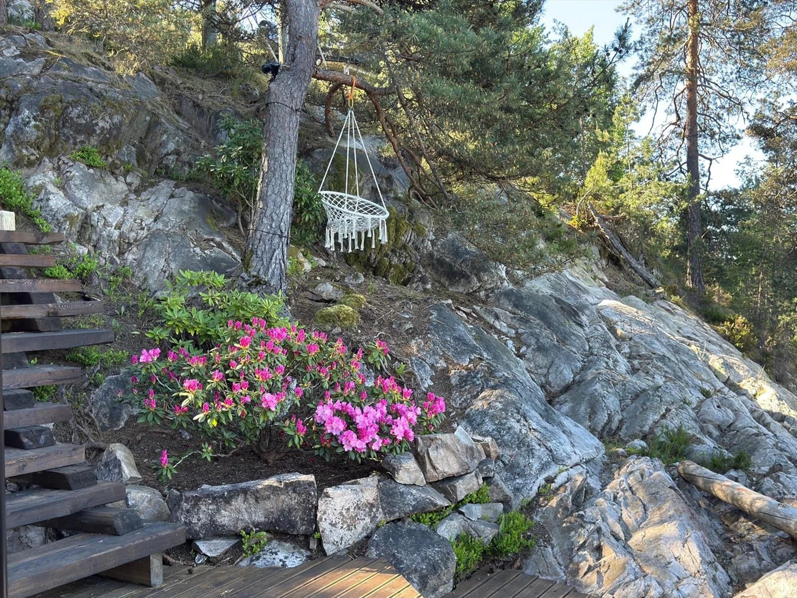 Photo 44