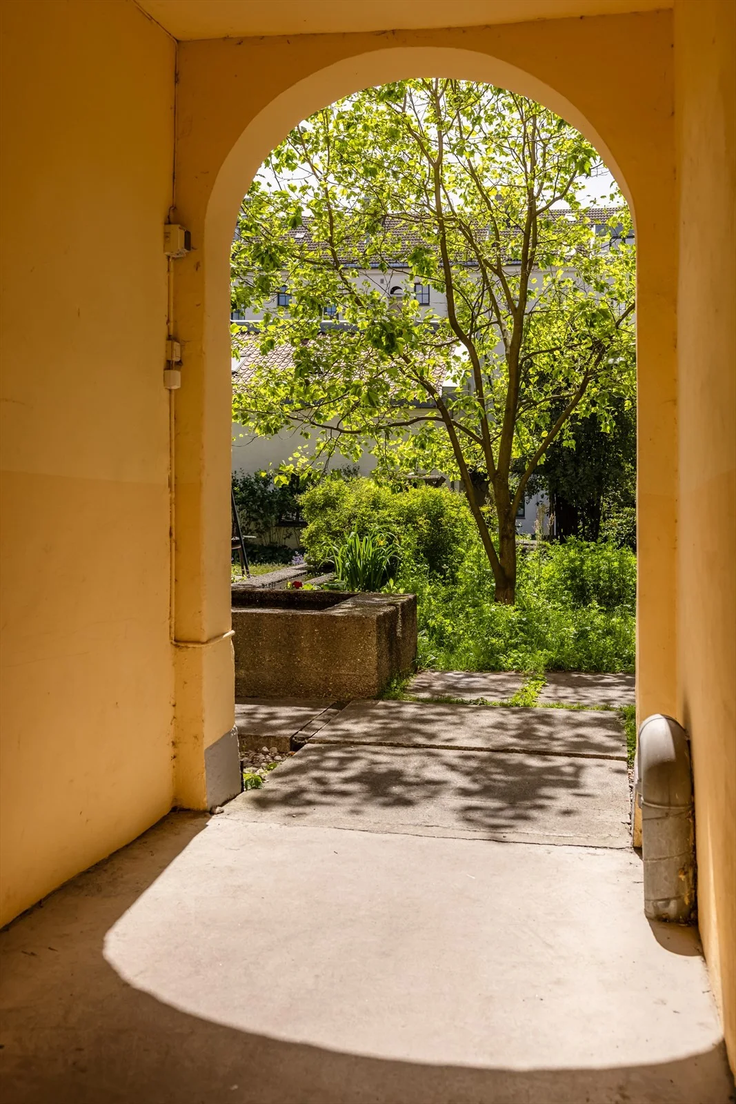 Photo 26