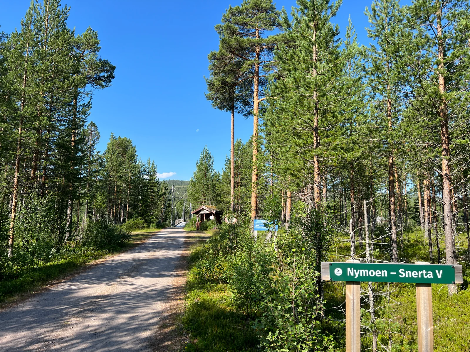 Photo 42