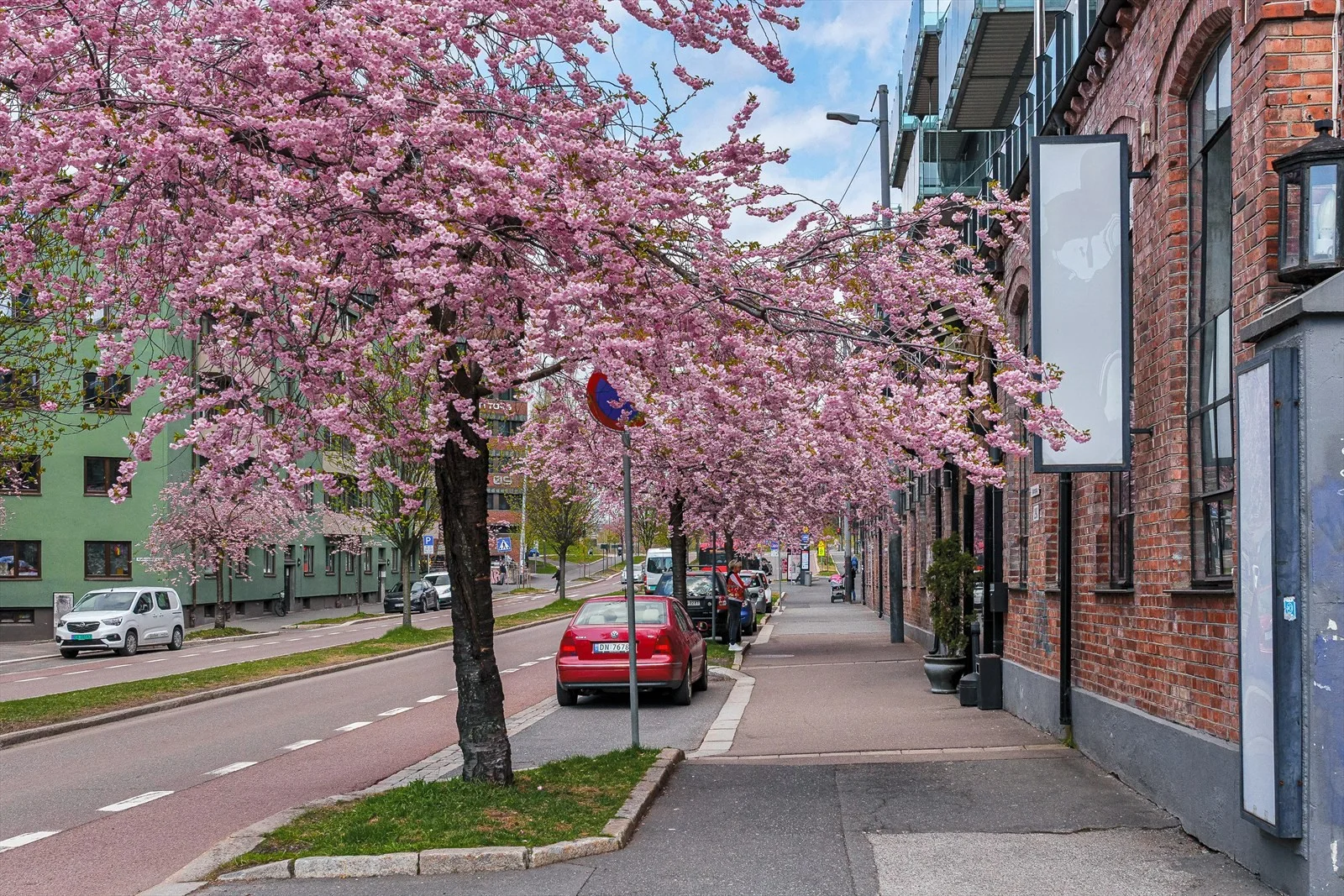 Photo 29