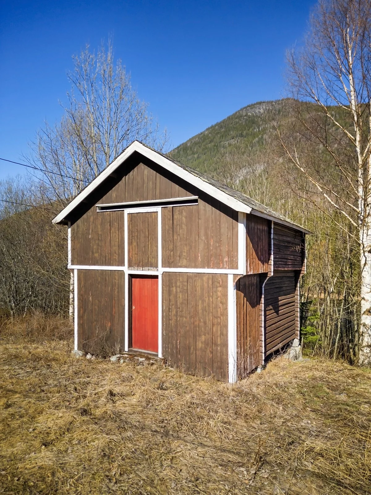 Photo 6