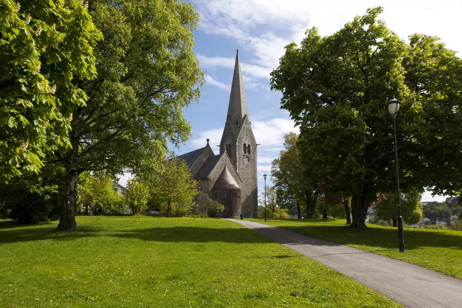 Photo 43