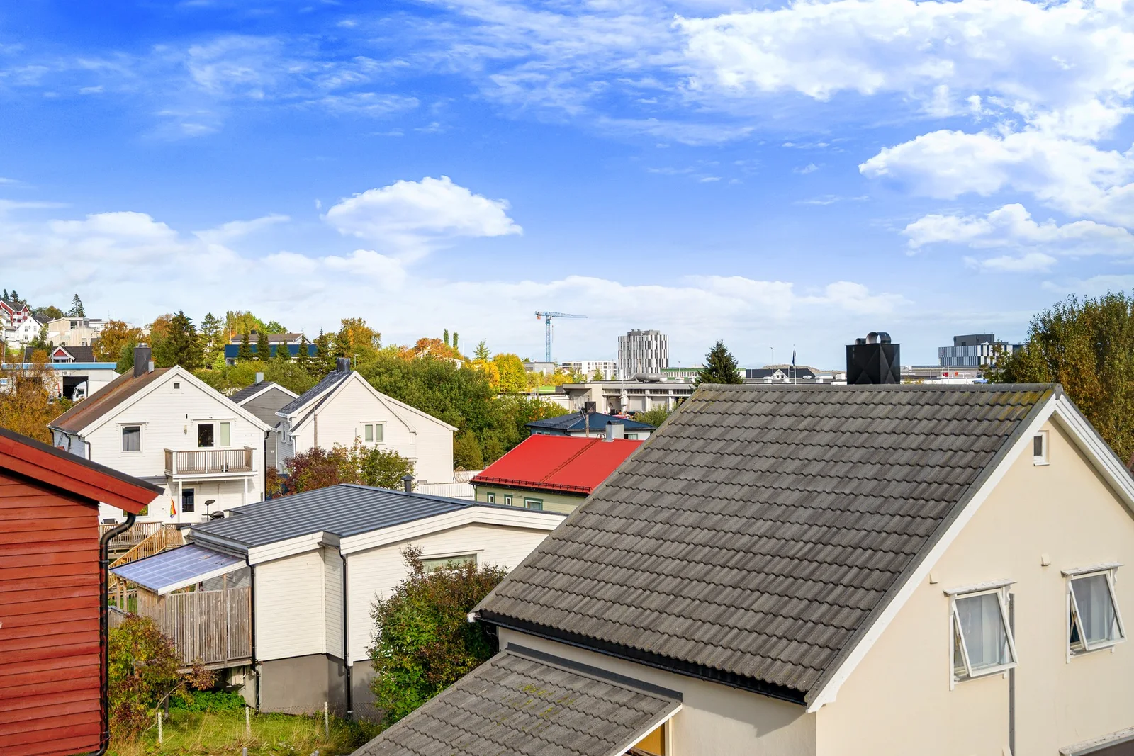 Photo 41