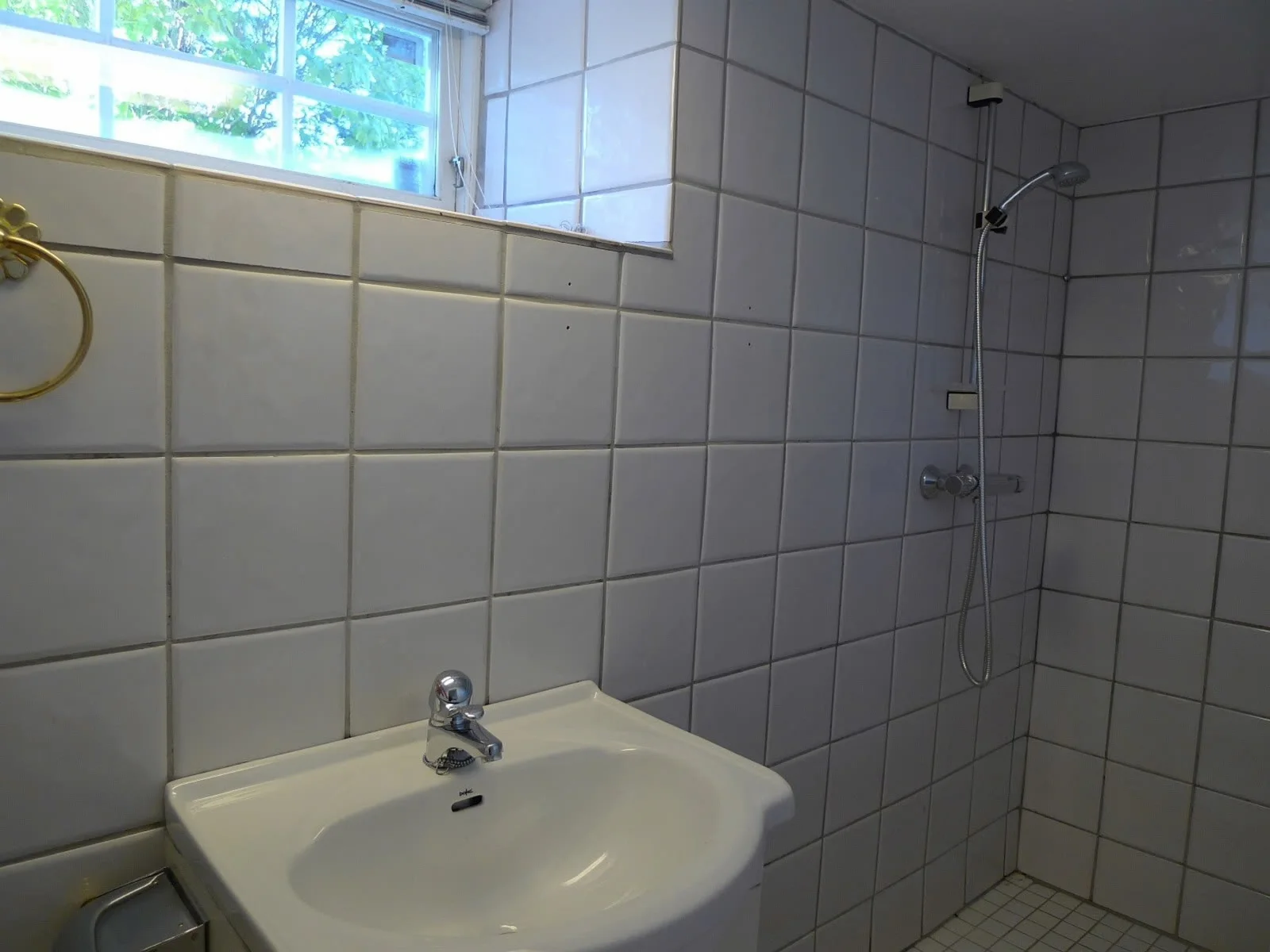 Photo 44