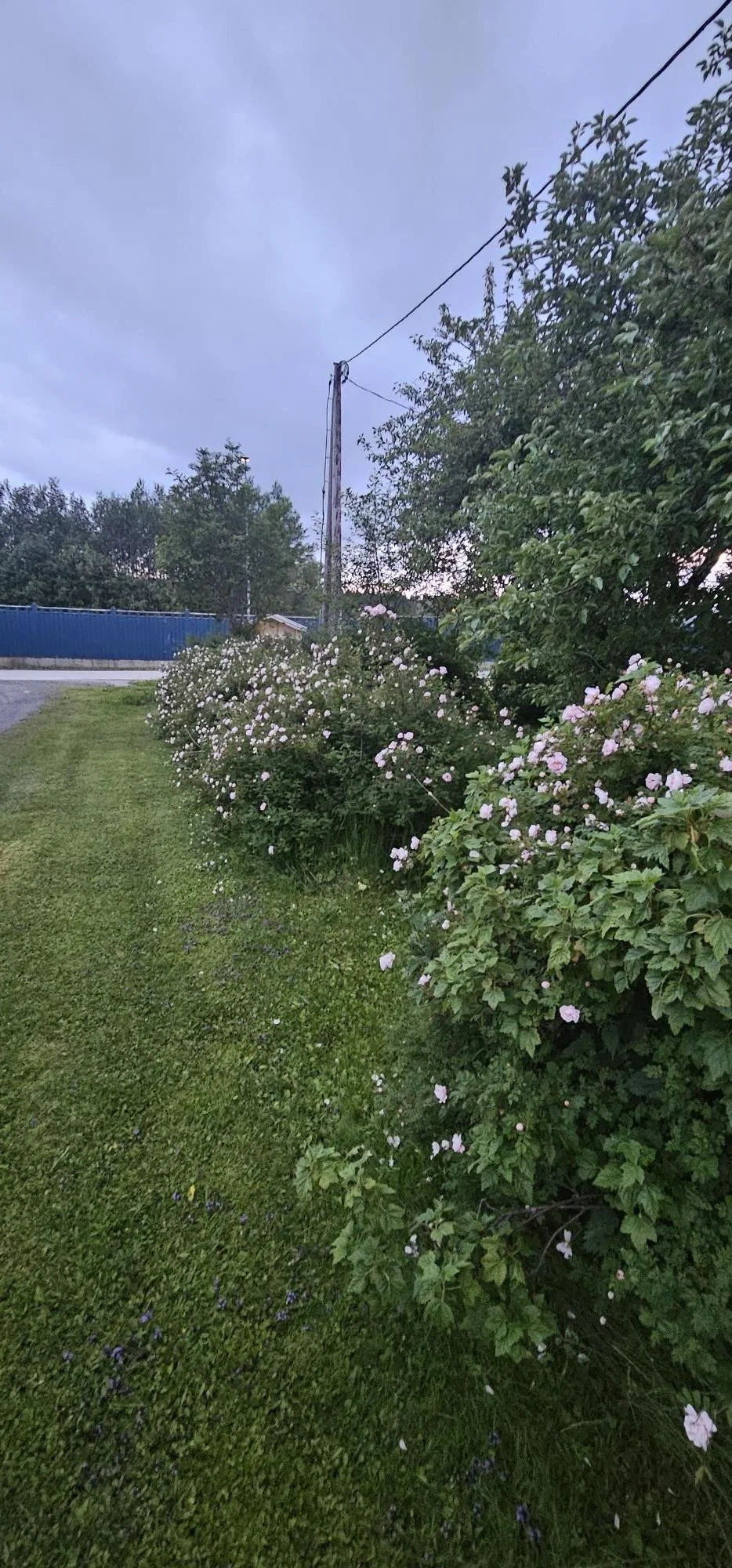 Photo 29
