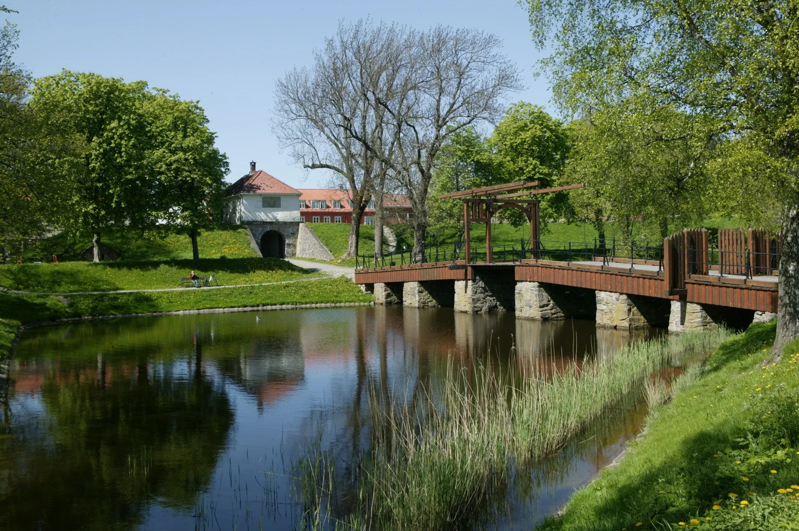 Photo 40