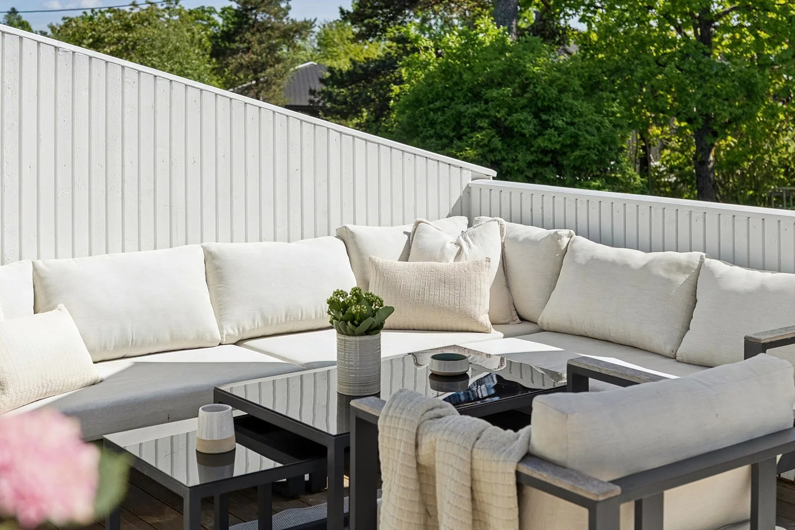 Photo 45