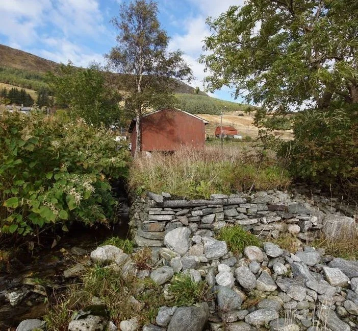 Photo 16
