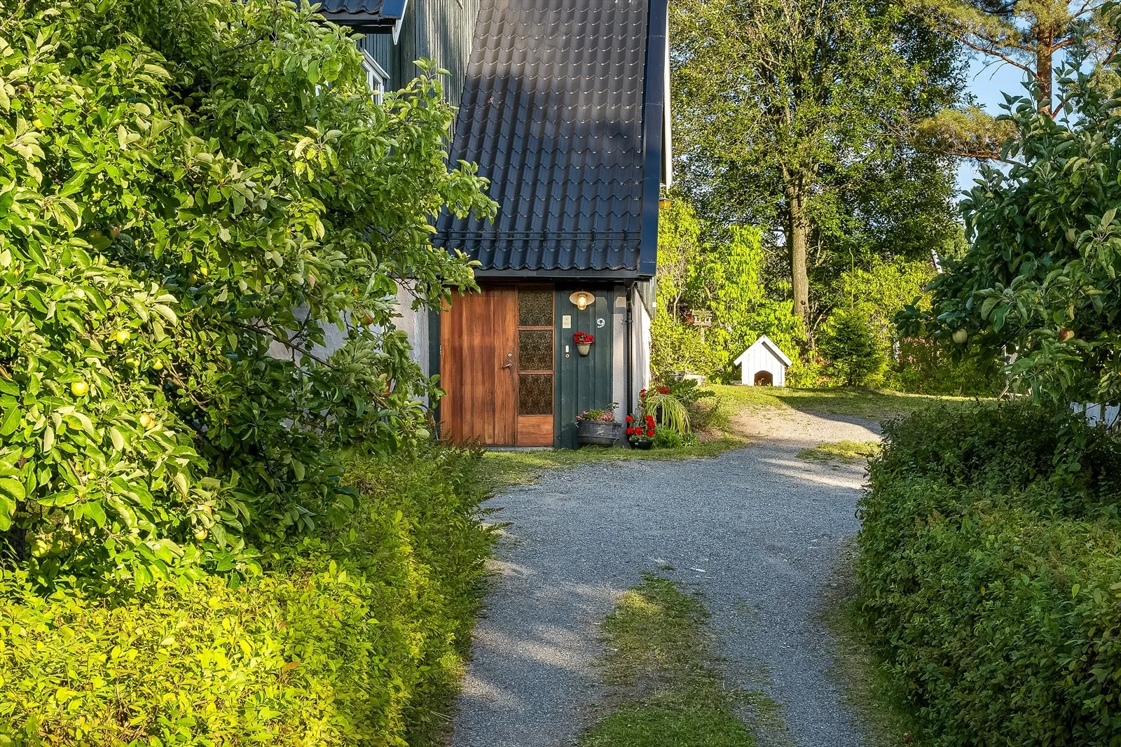Photo 6