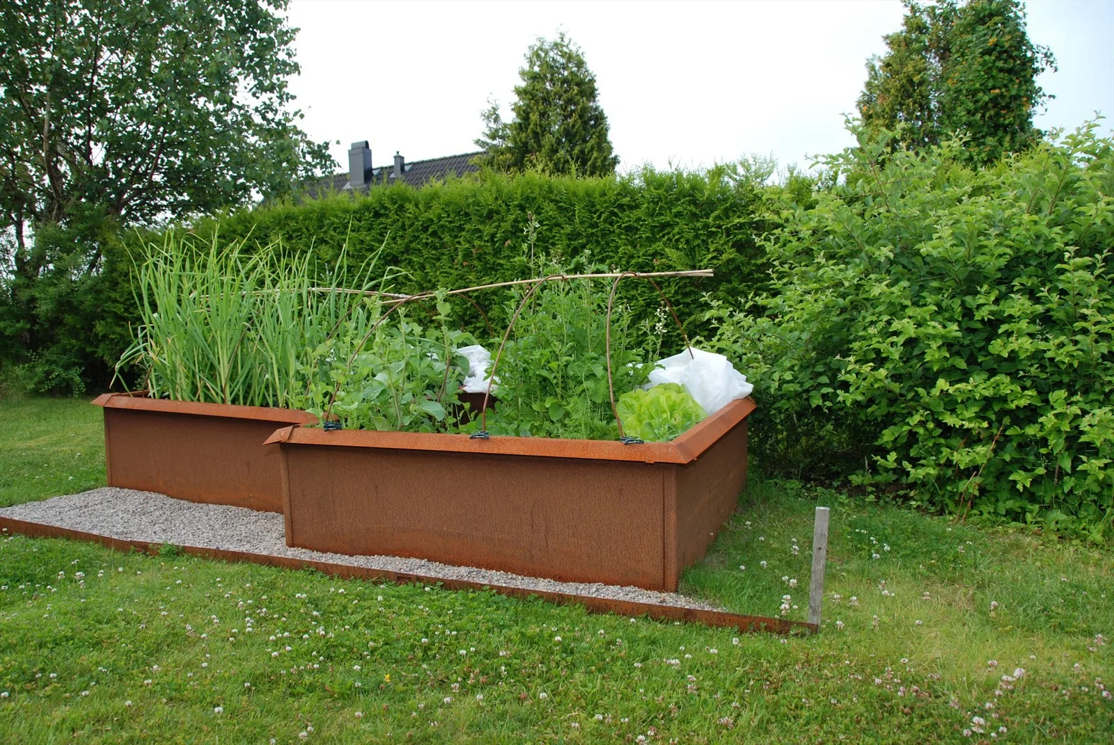 Photo 10