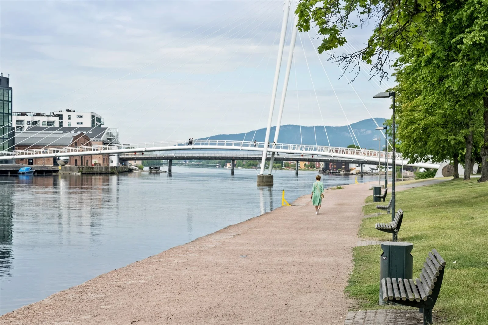 Photo 23