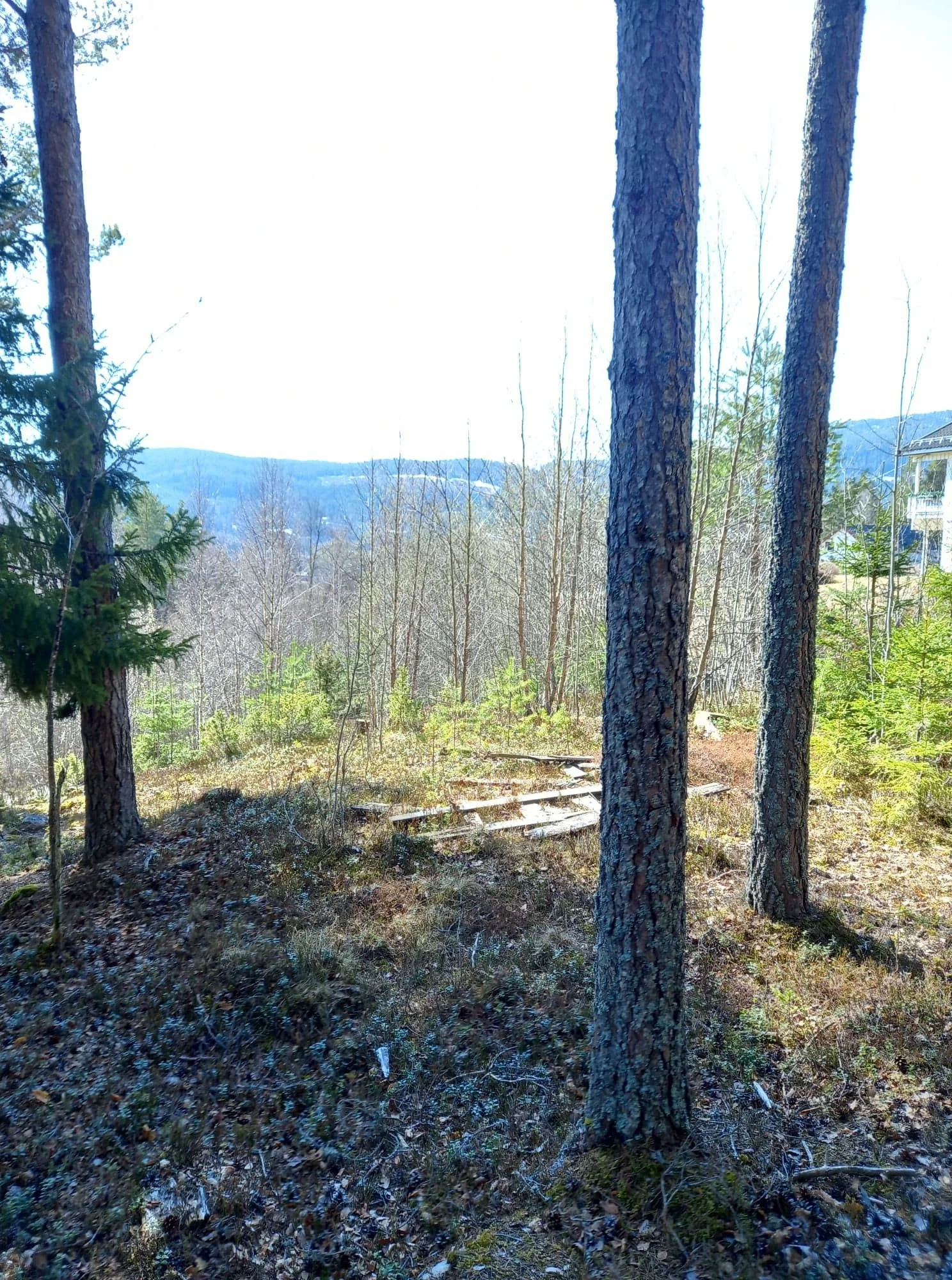 Photo 3