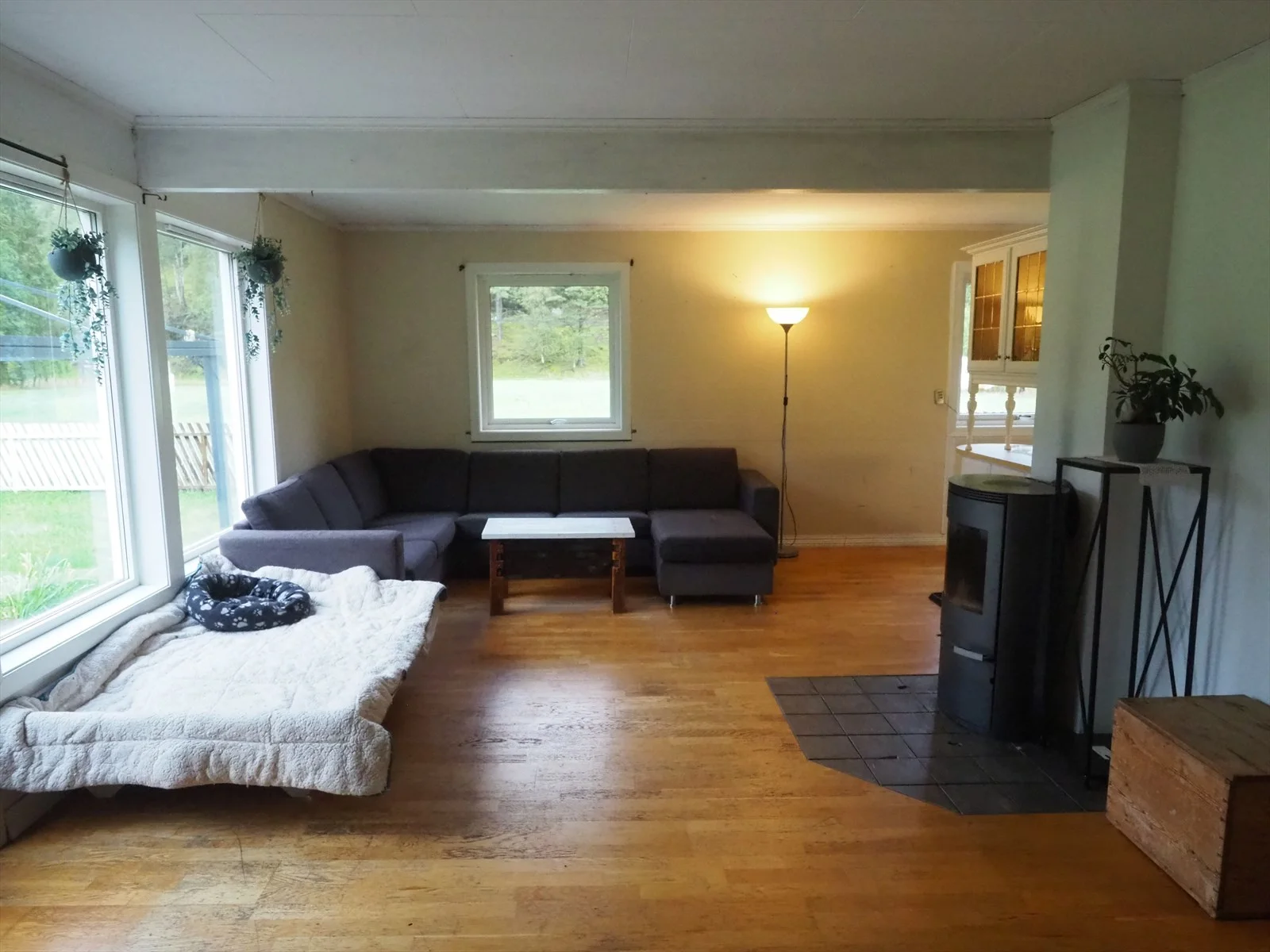 Photo 4