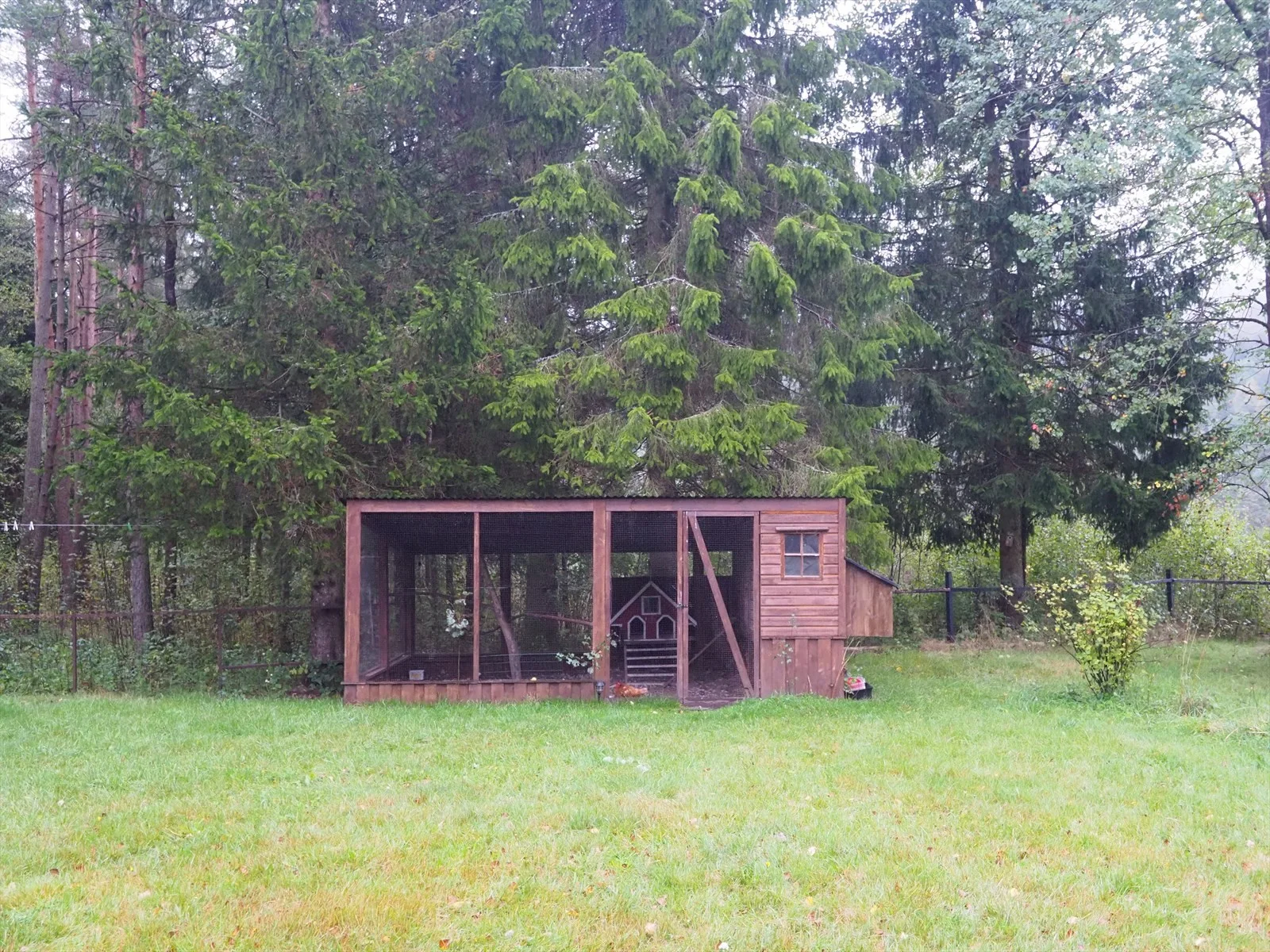 Photo 31