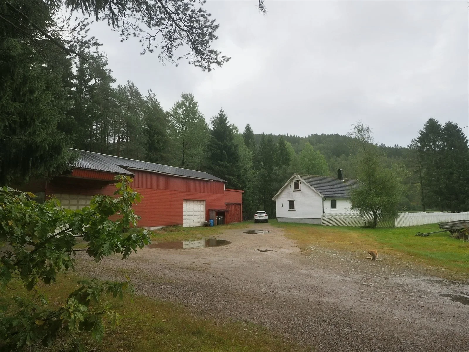 Photo 38