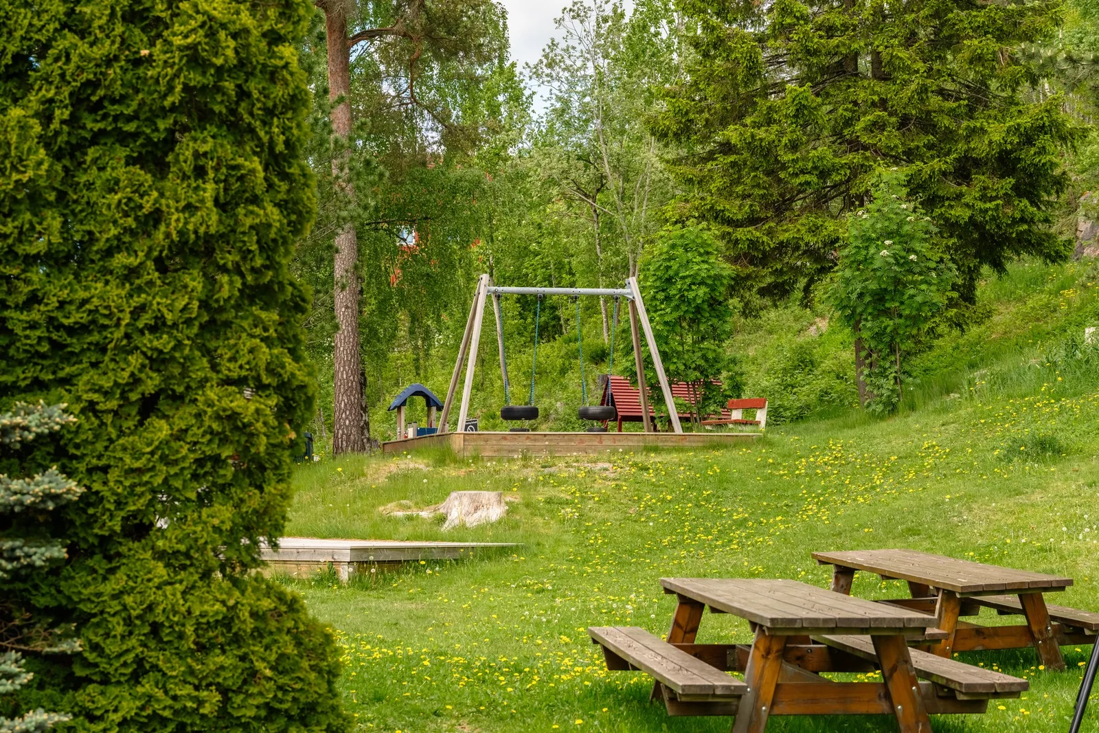 Photo 45