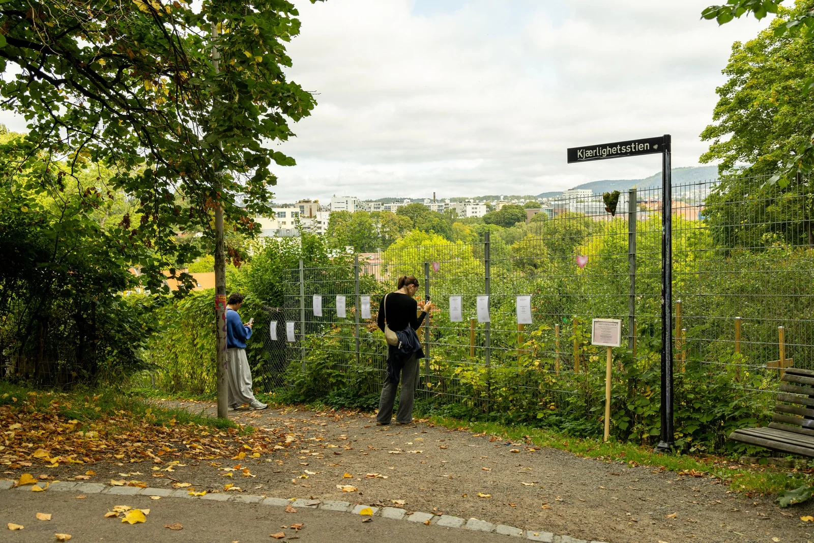 Photo 22