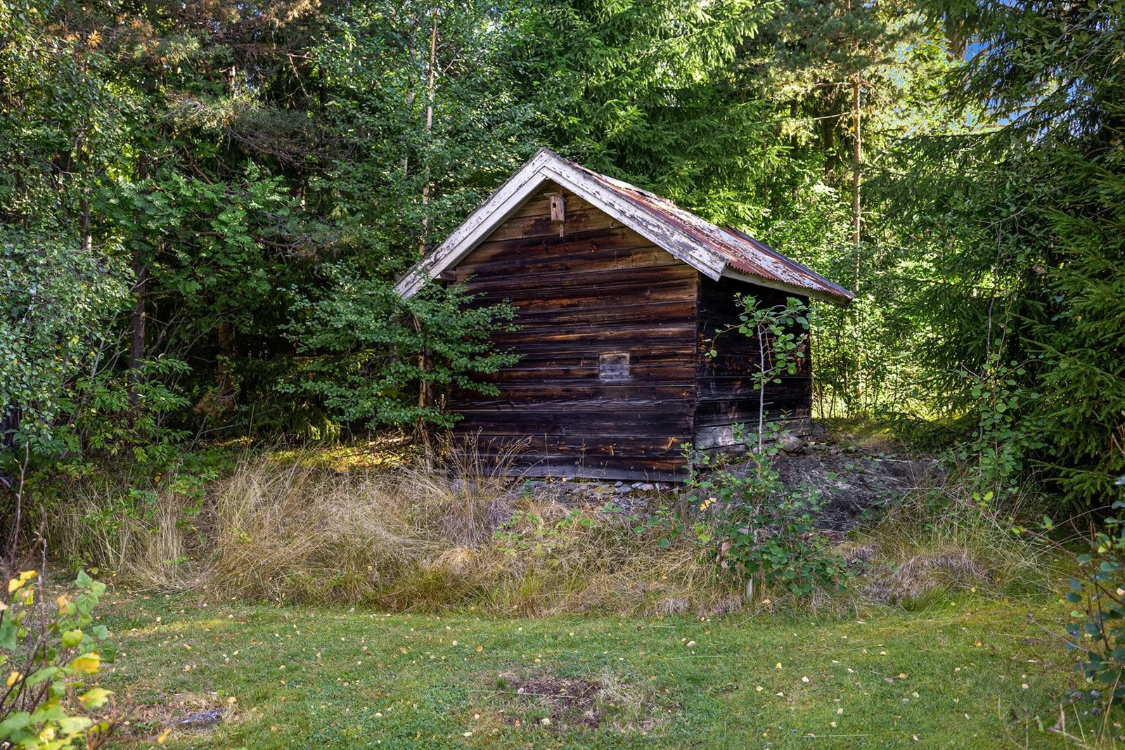Photo 25