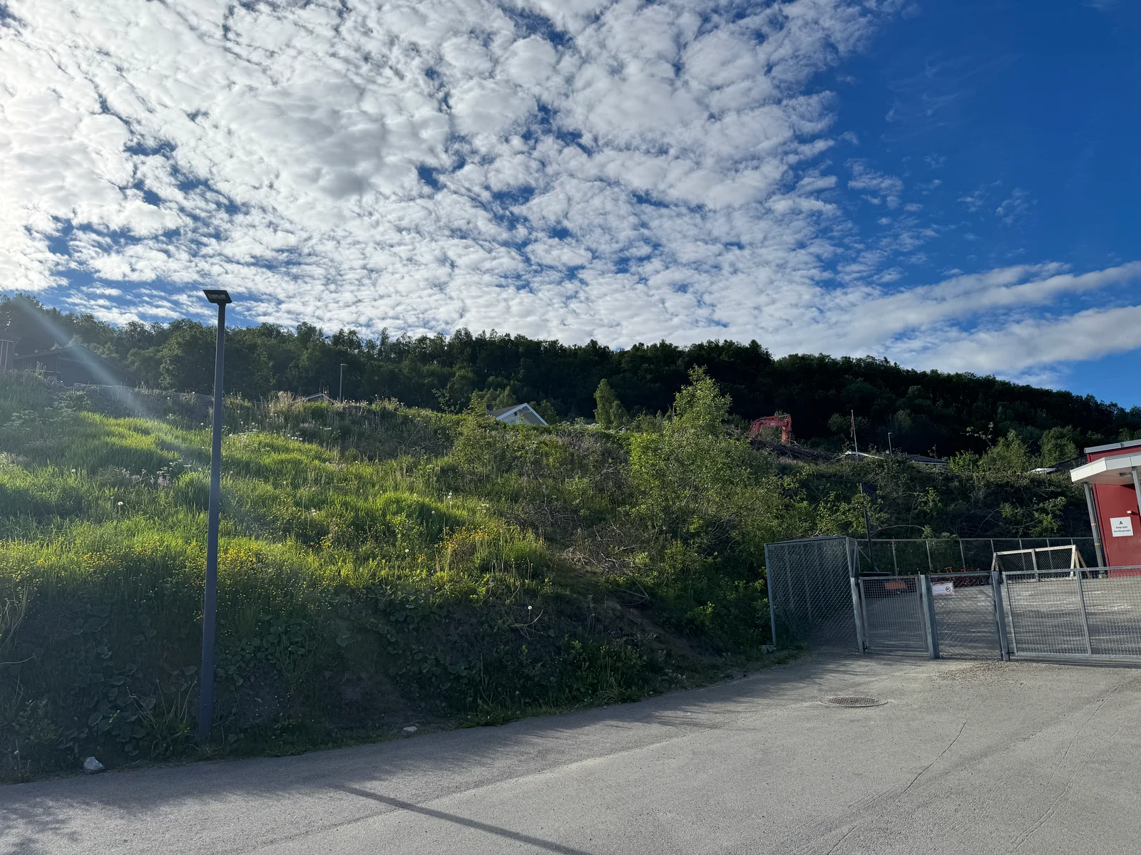 Photo 5