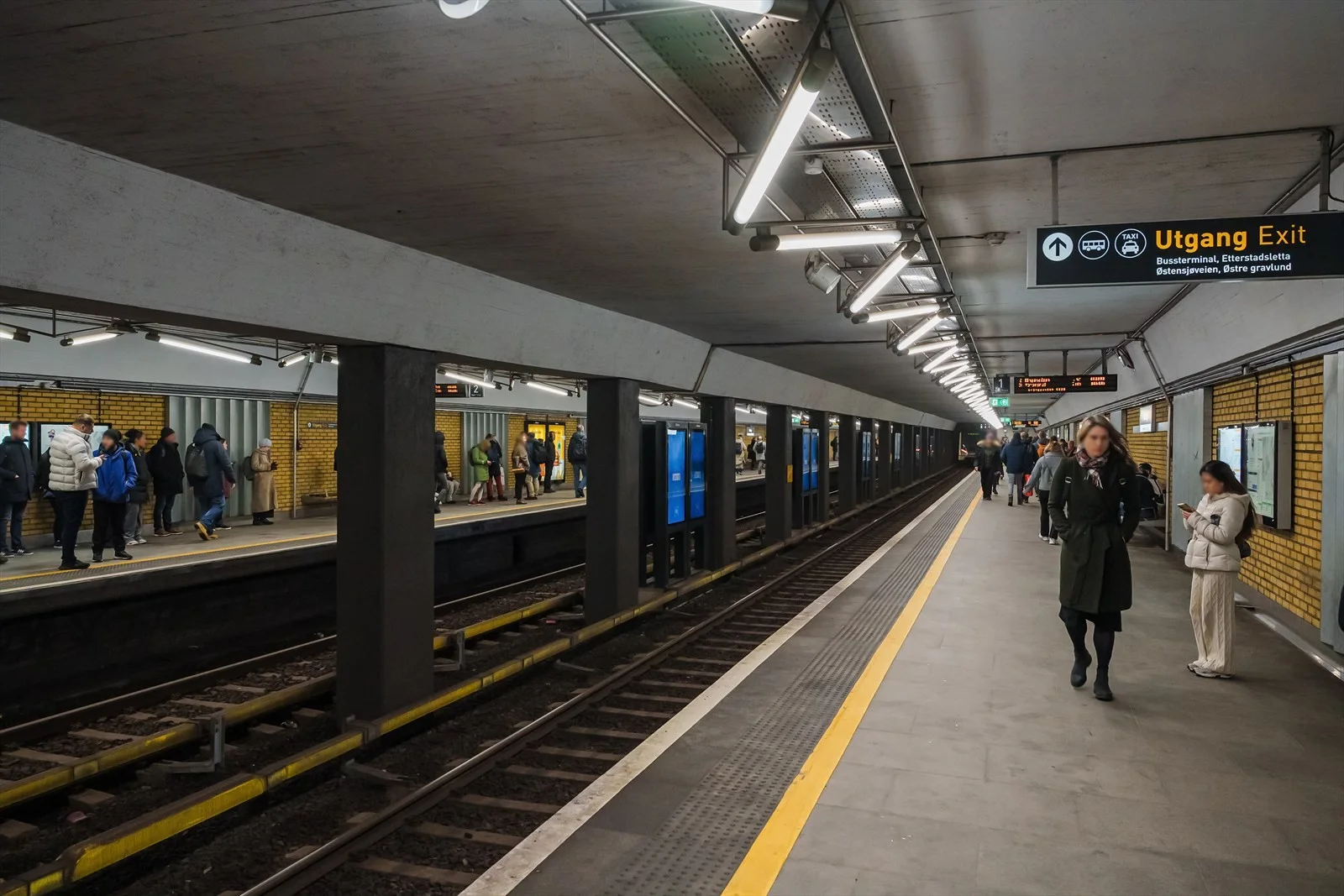 Photo 44