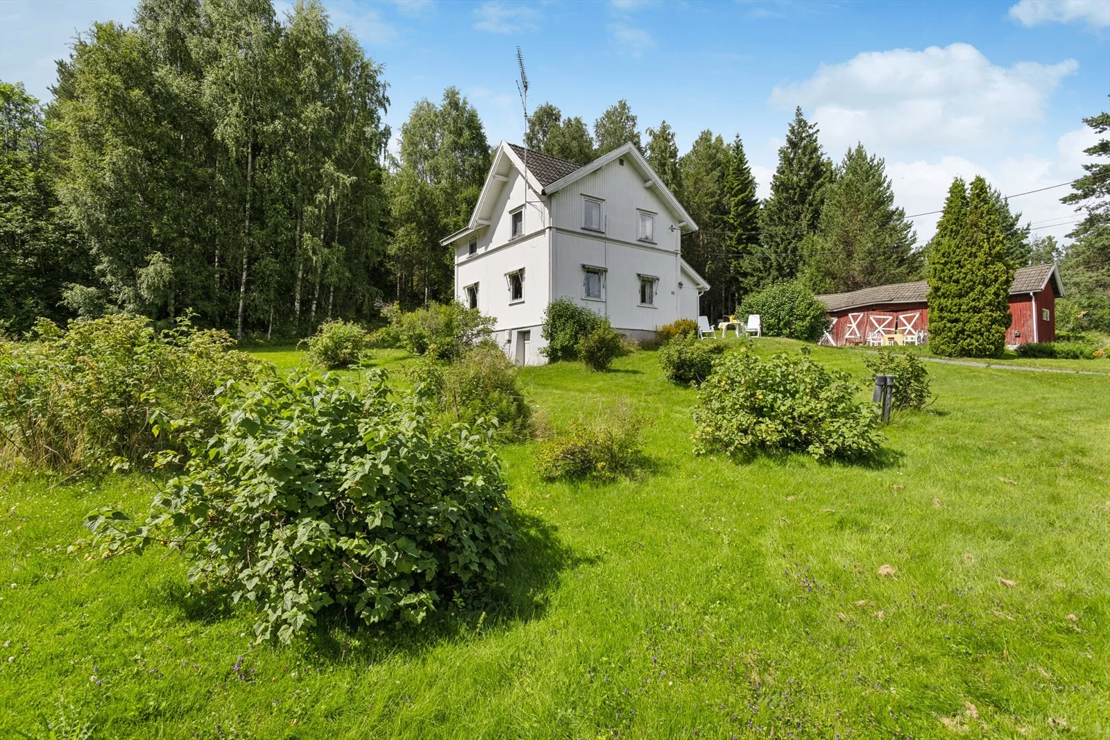 Photo 36