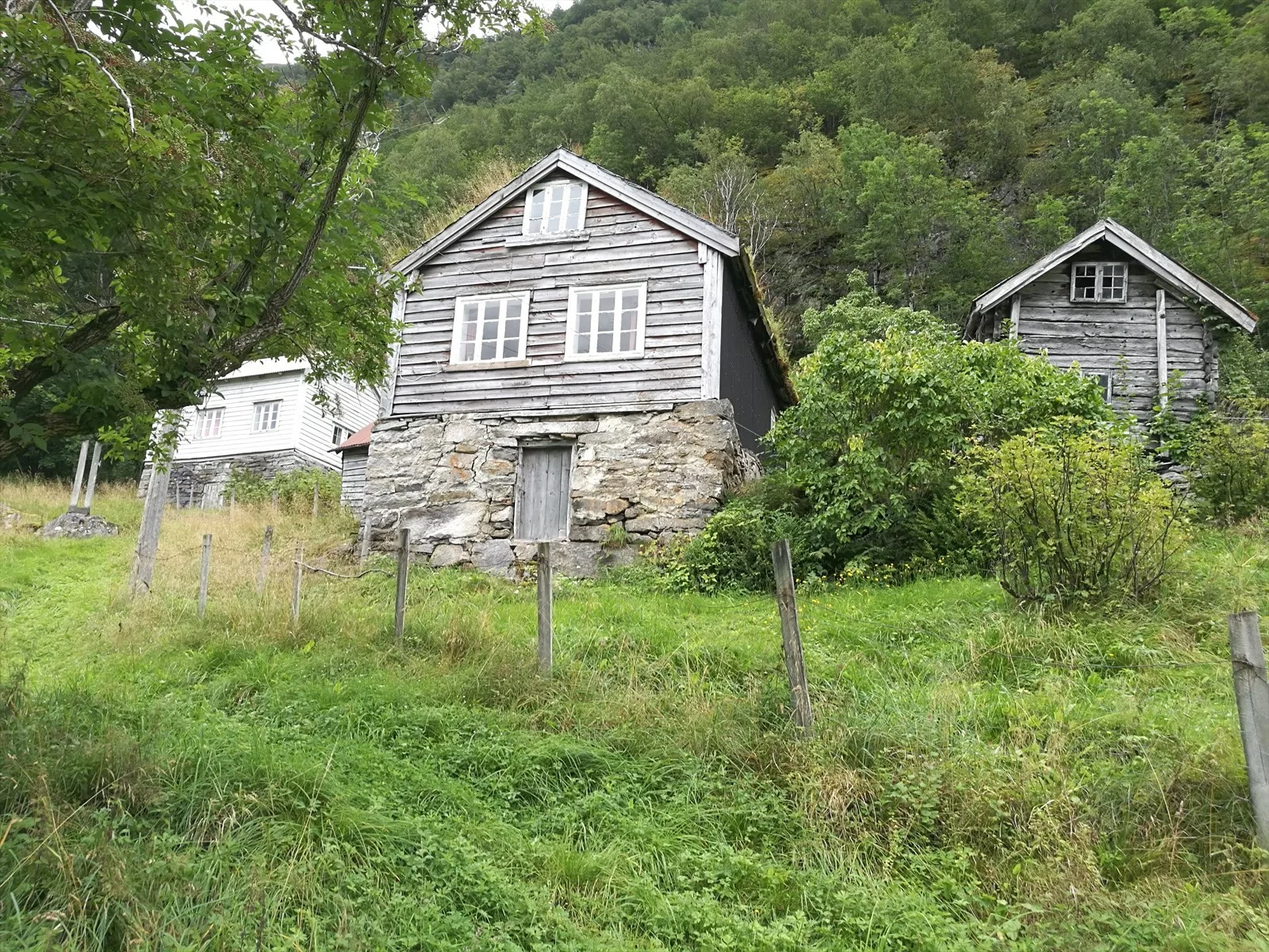 Photo 6