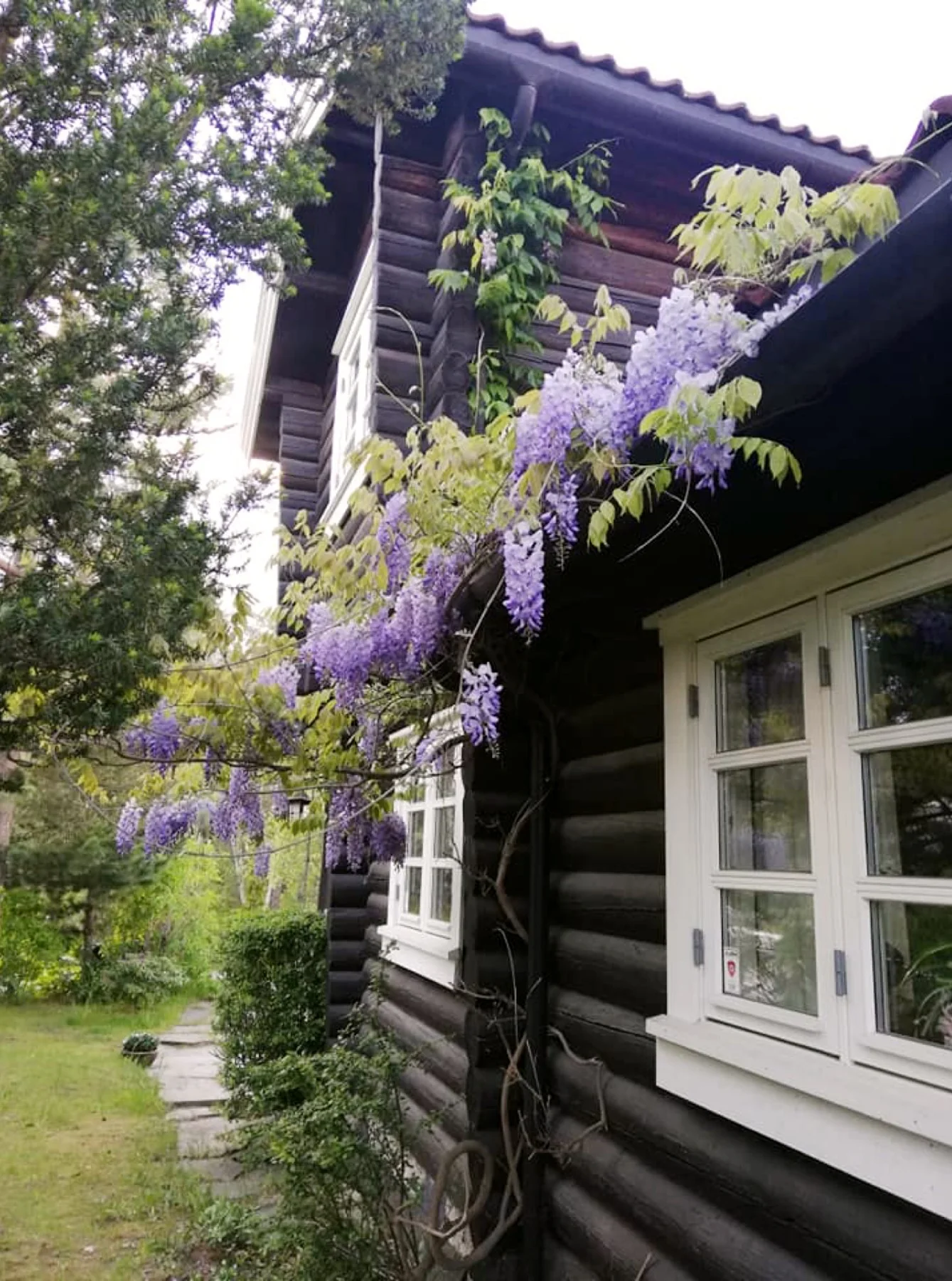 Photo 44