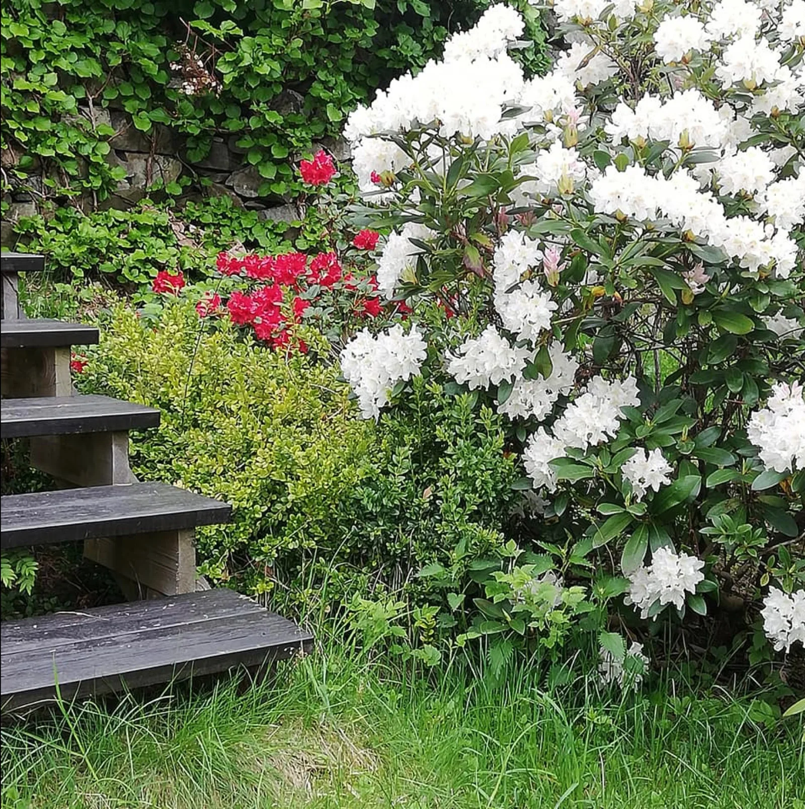 Photo 46