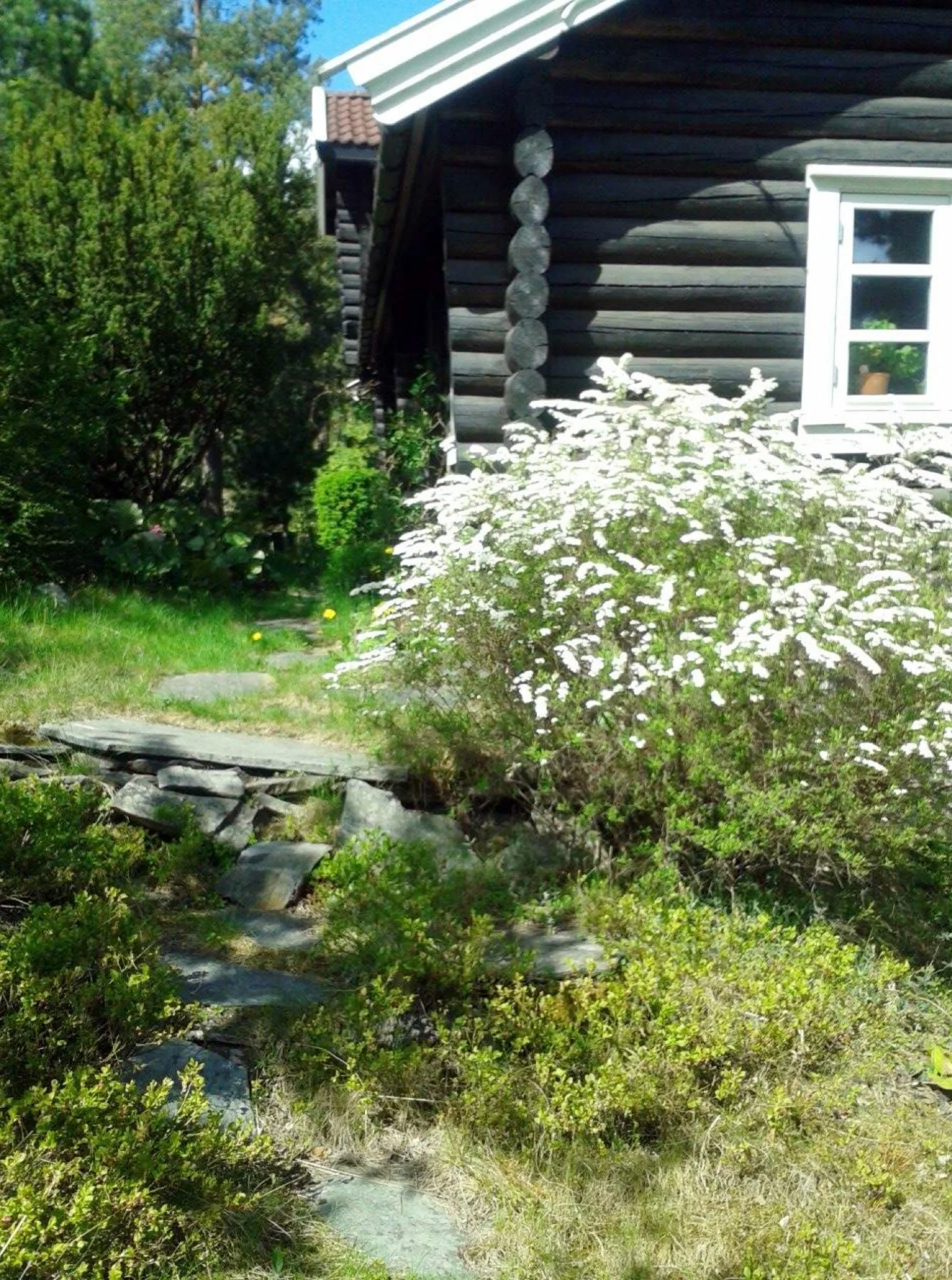 Photo 47
