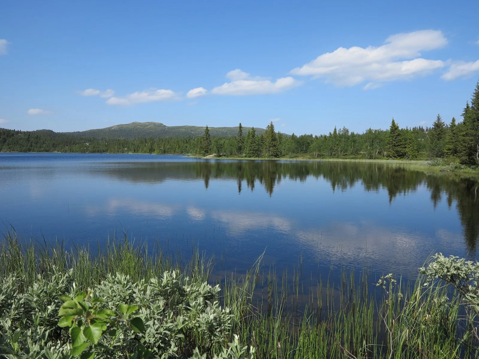 Photo 48