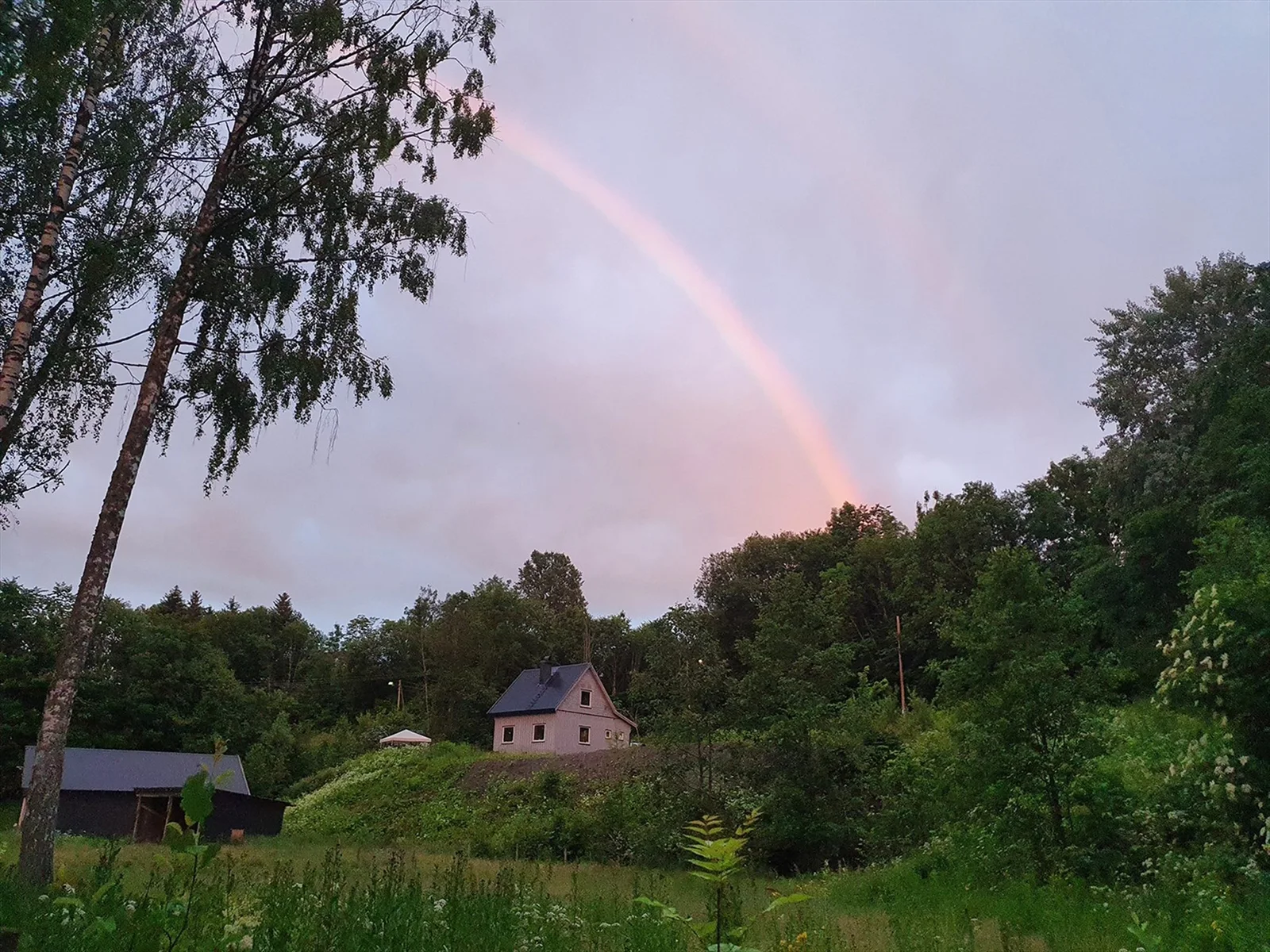 Photo 28