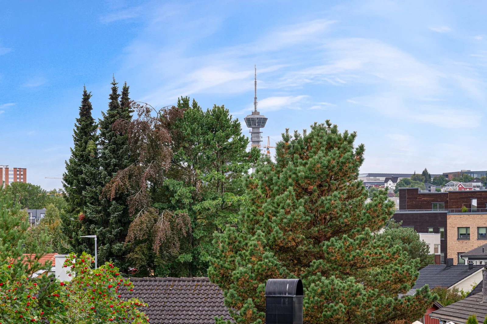 Photo 23